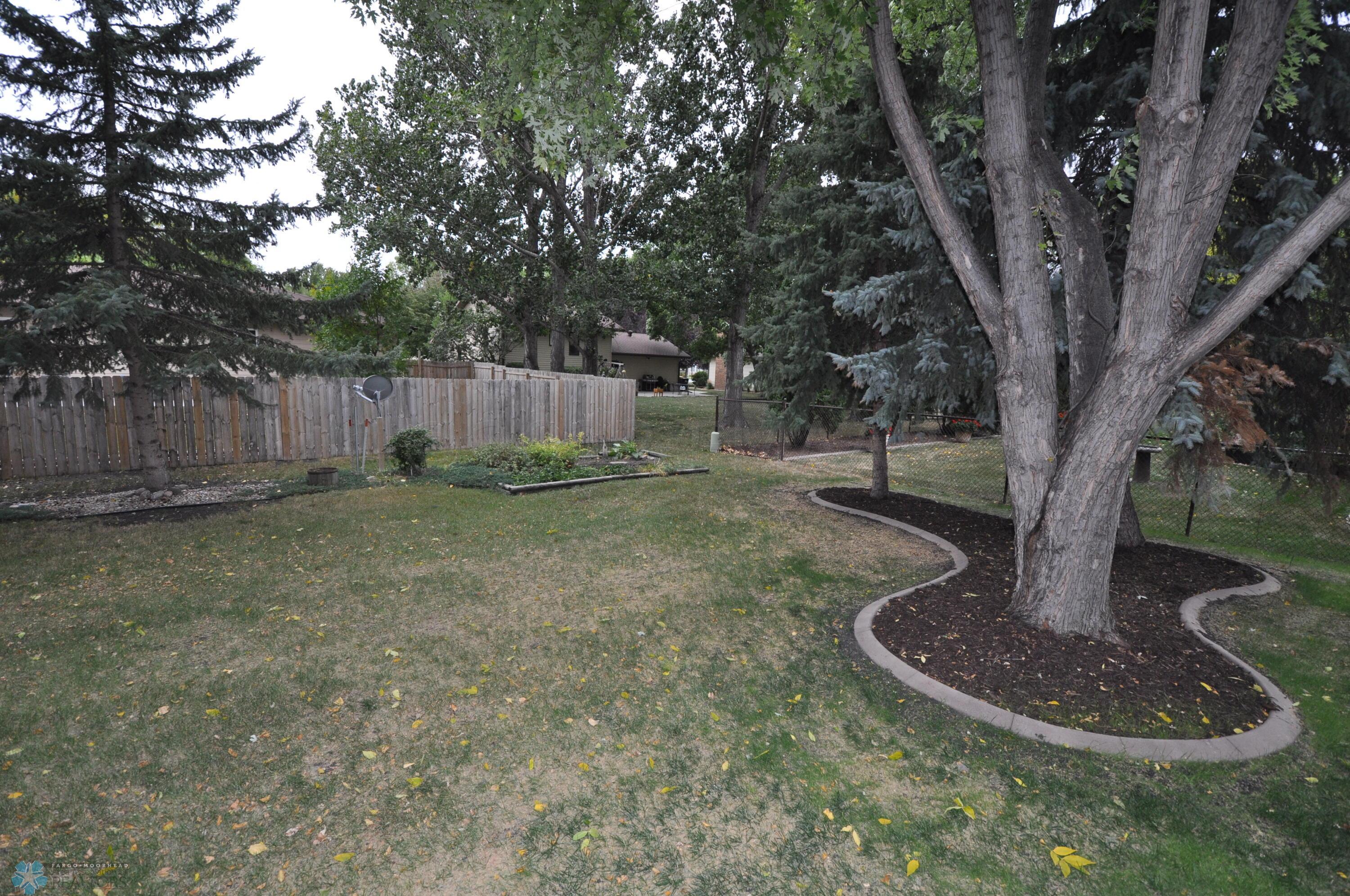 Back yard landscape