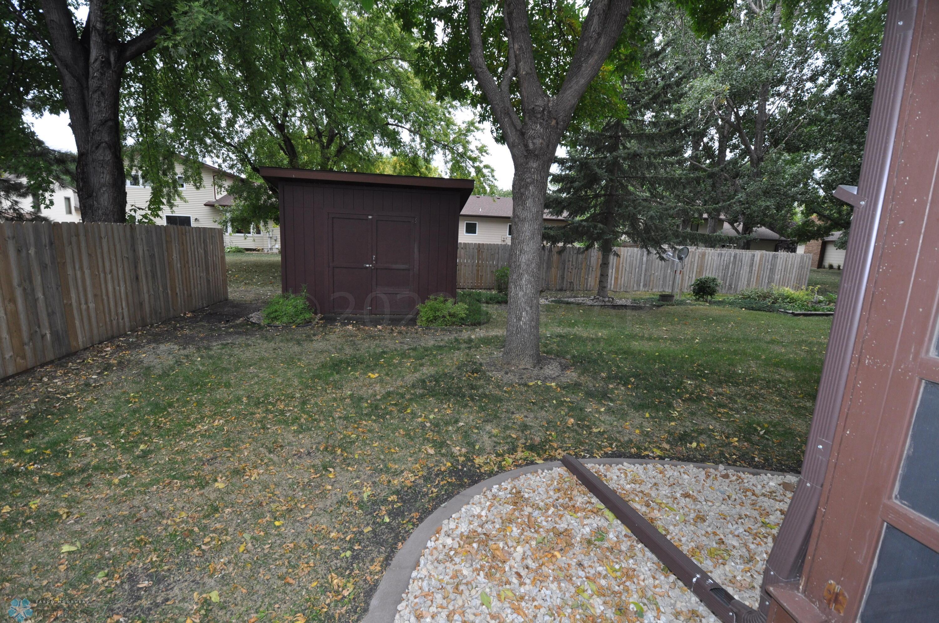 Back yard