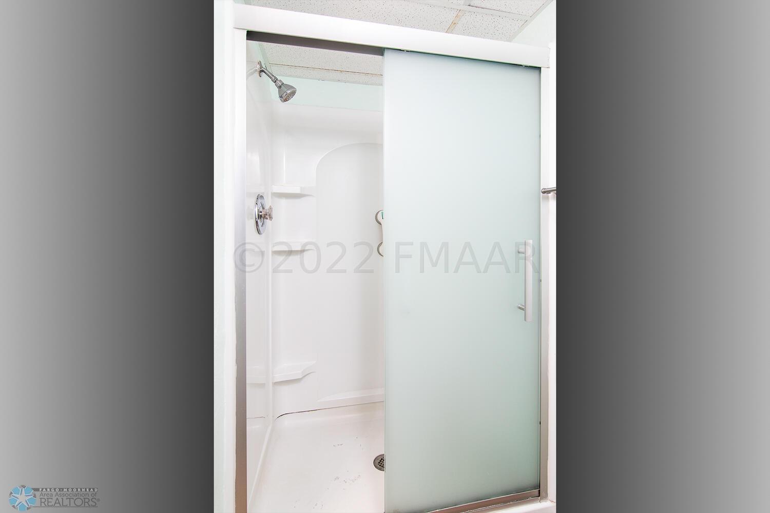 Basement Bathroom #2