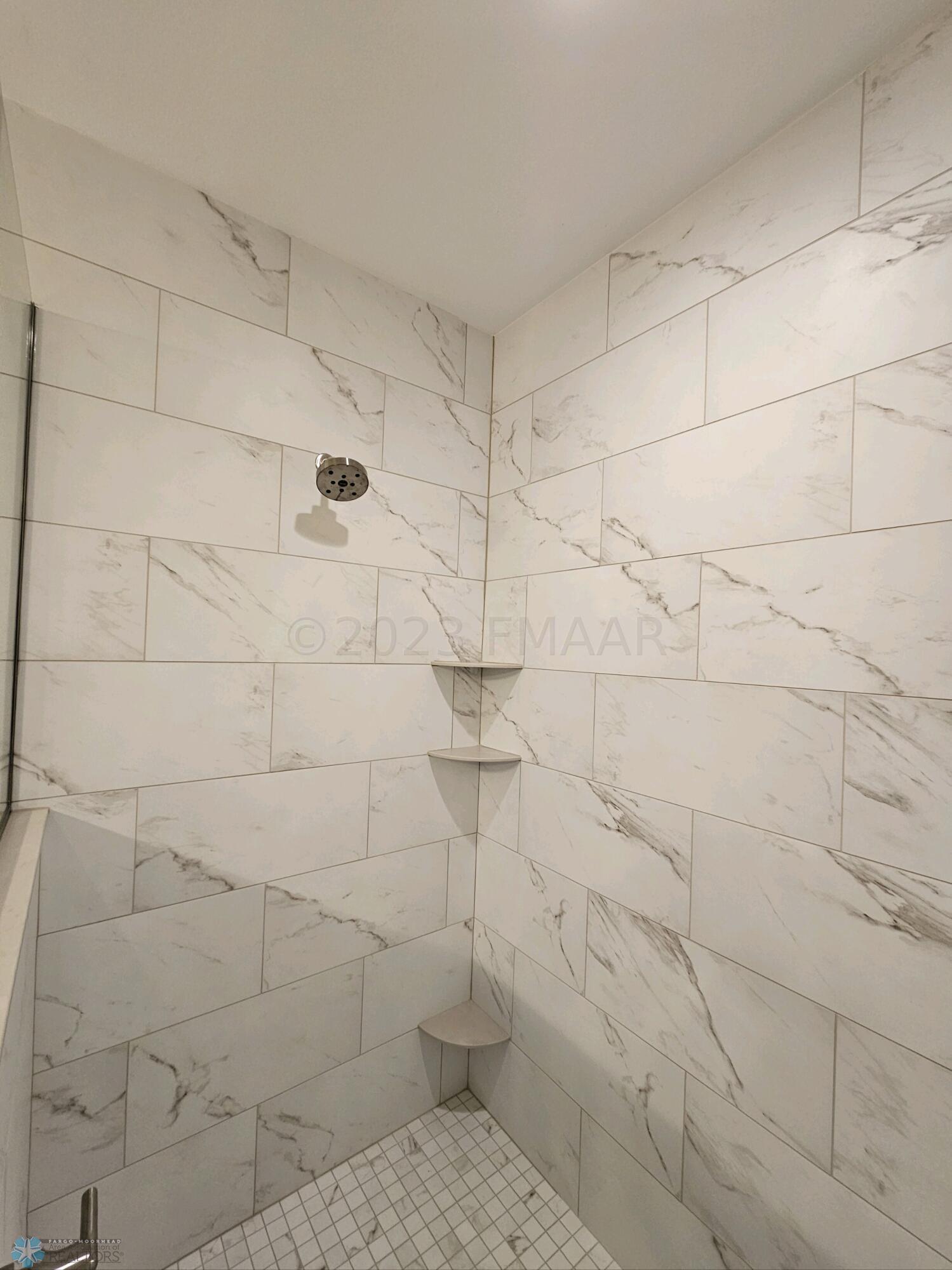 Primary Bath Custom Shower