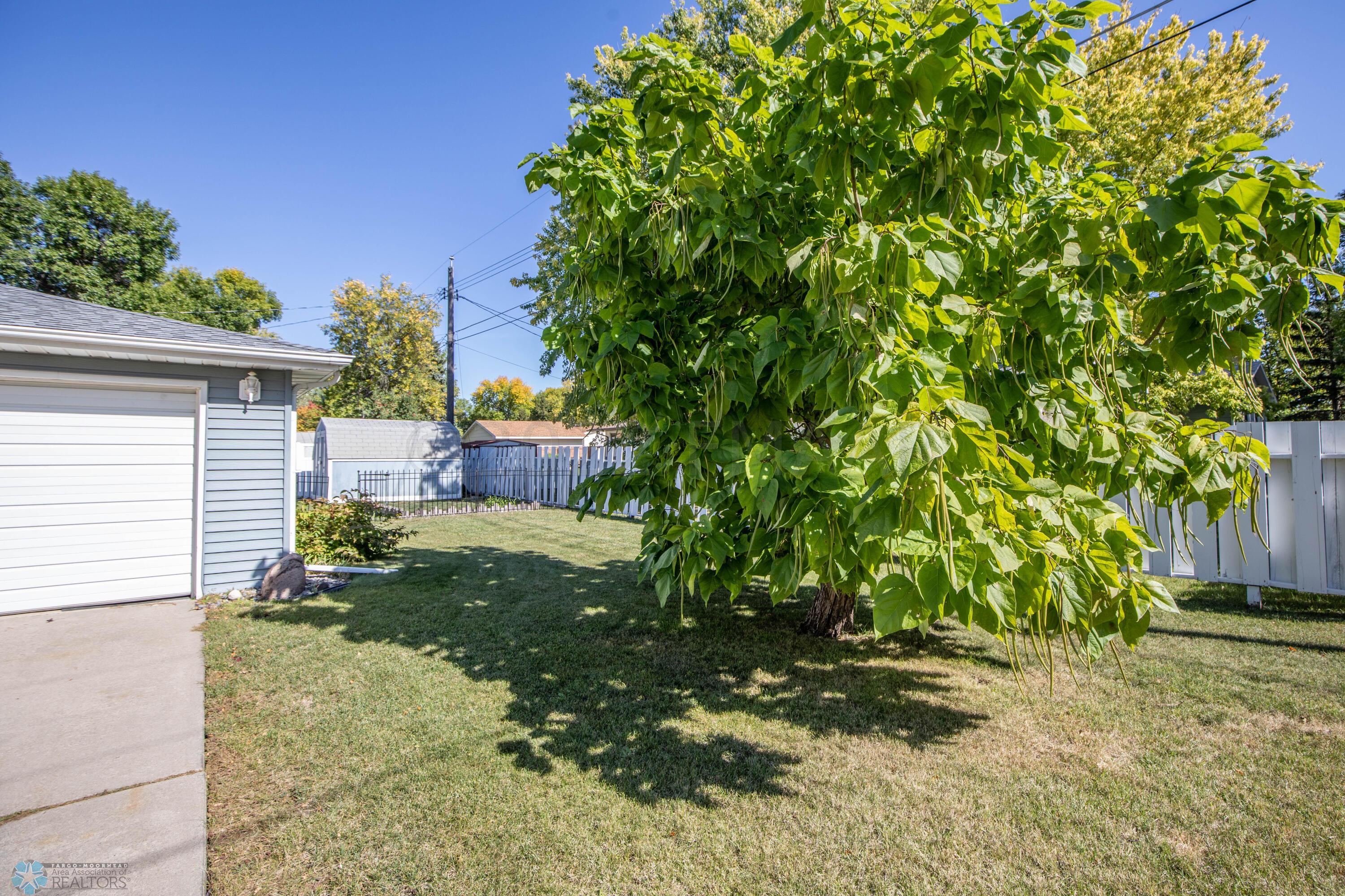 Yard