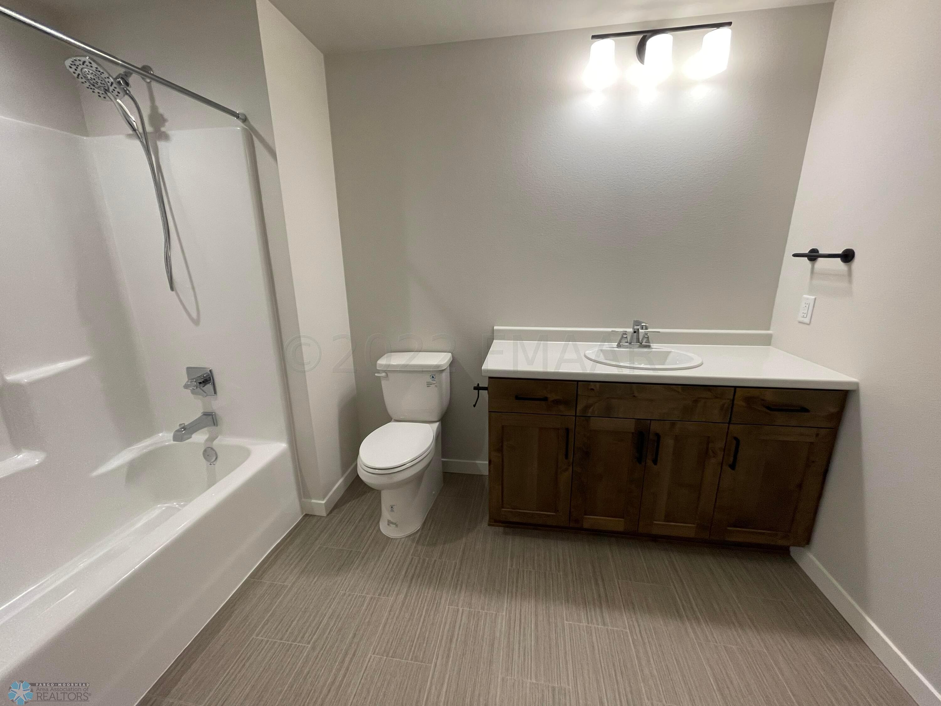 Basement Bathroom