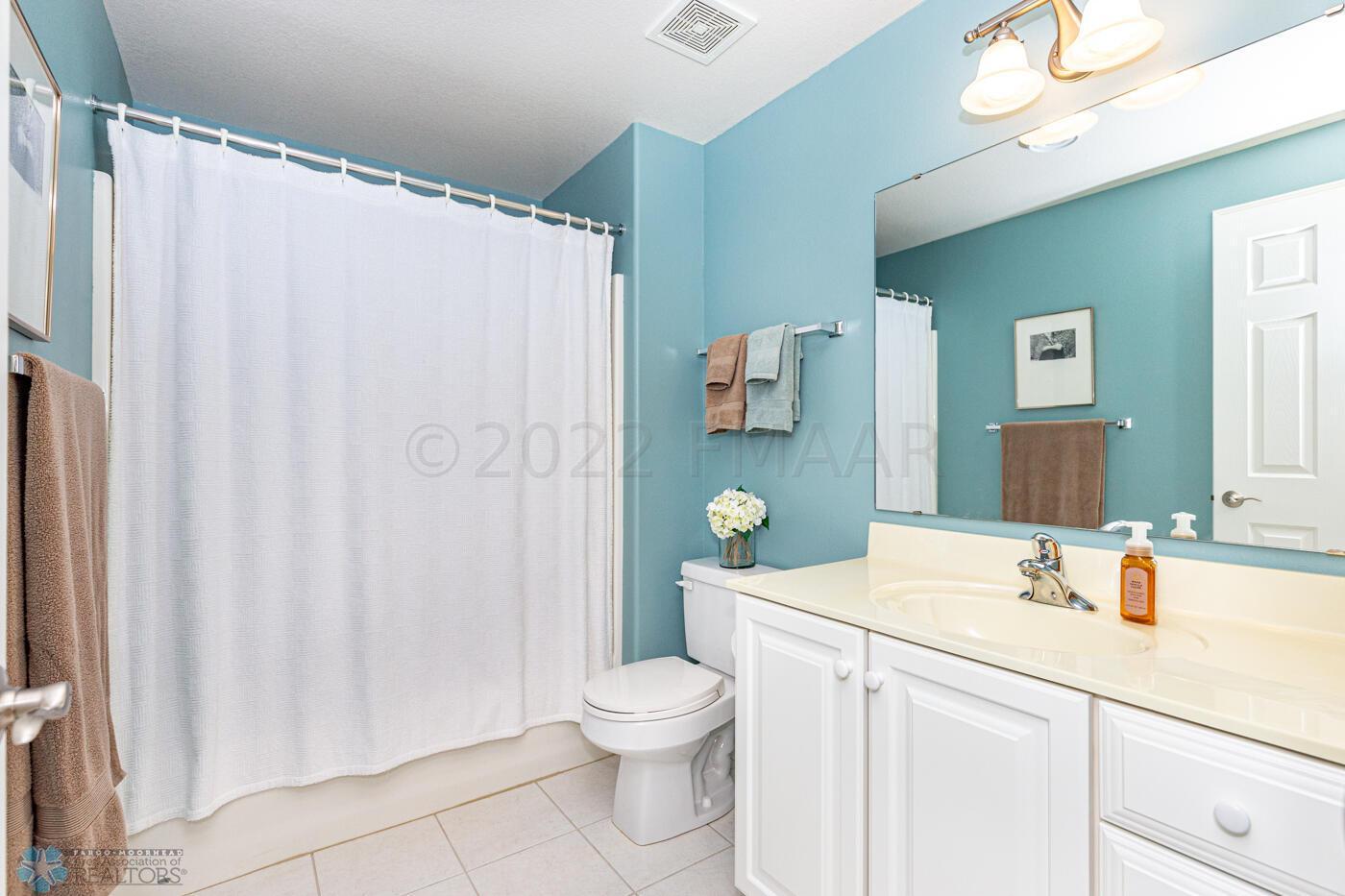 Basement Bathroom