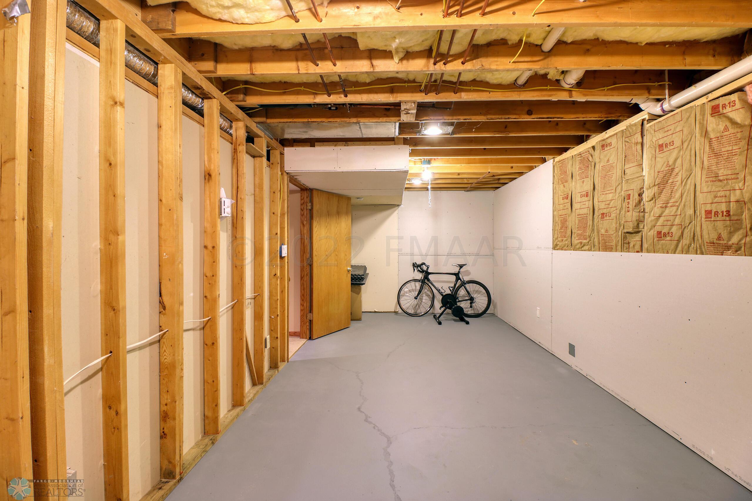 Basement Flex Room