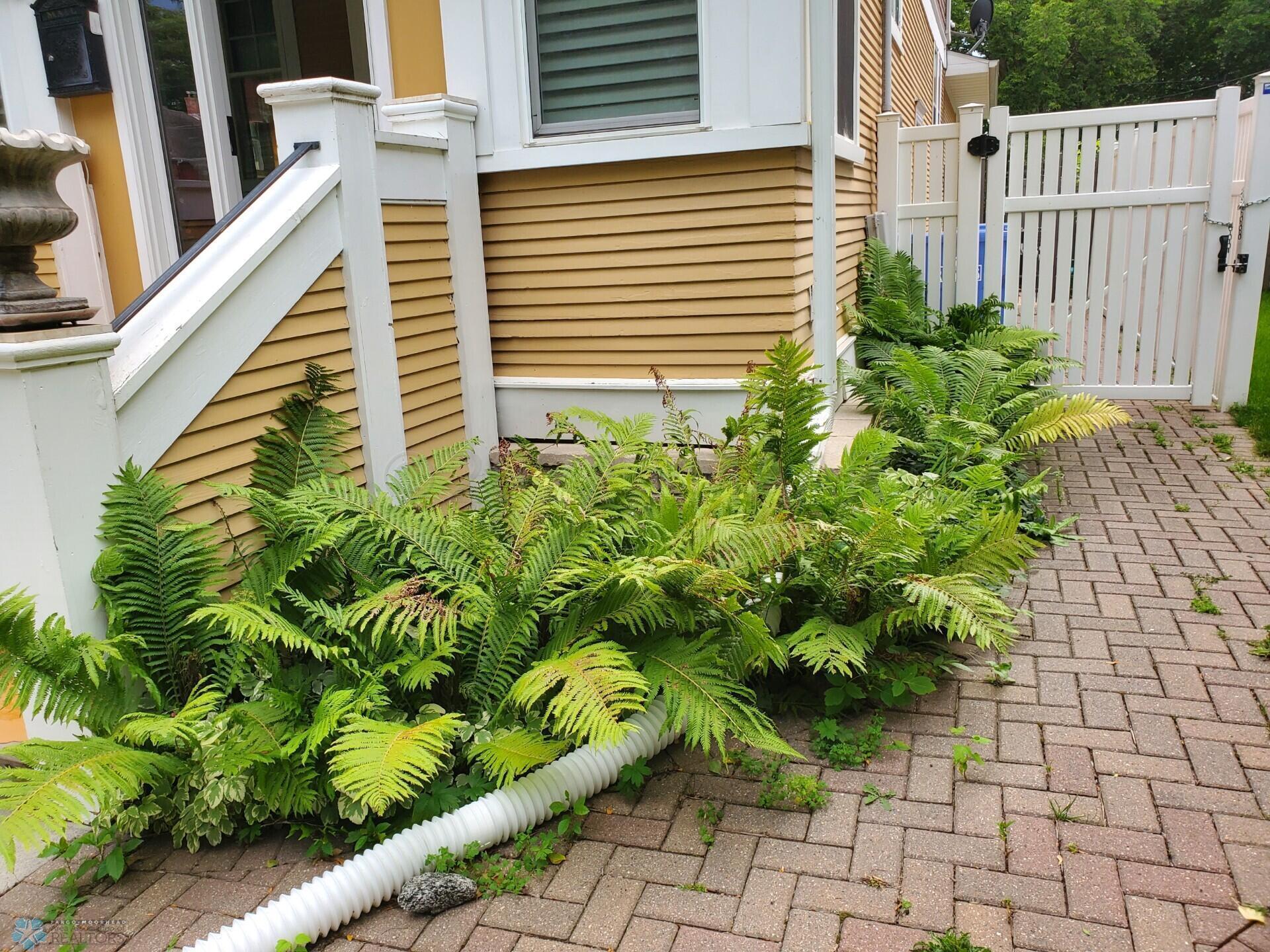 Landscaping