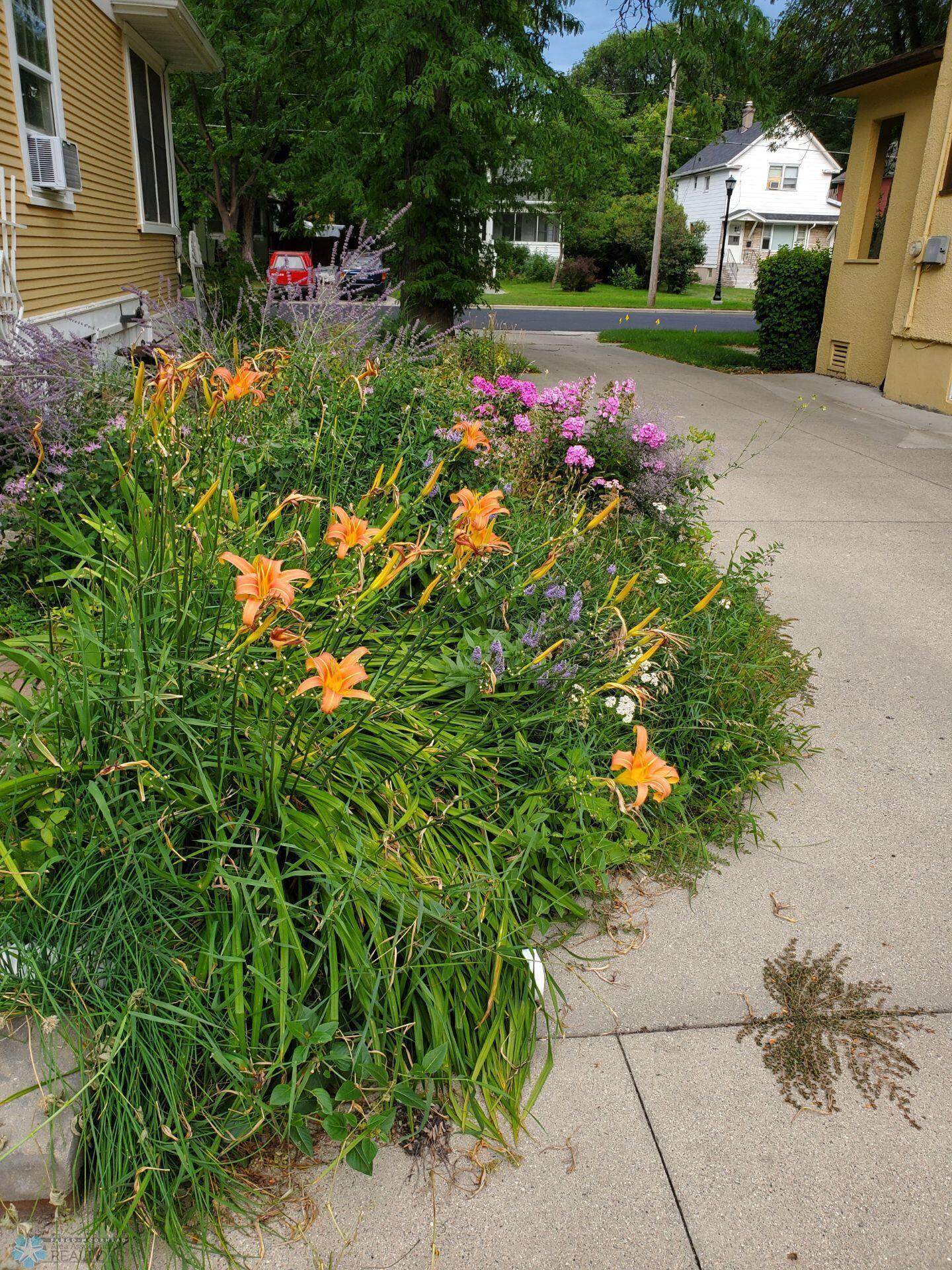 Landscaping