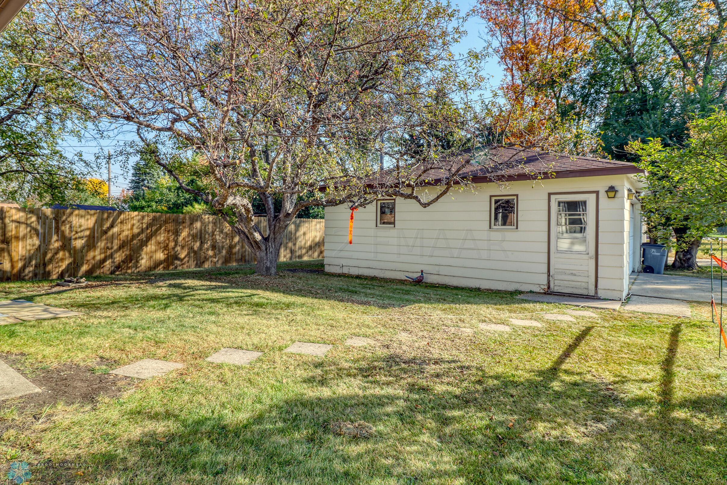 Backyard1_1