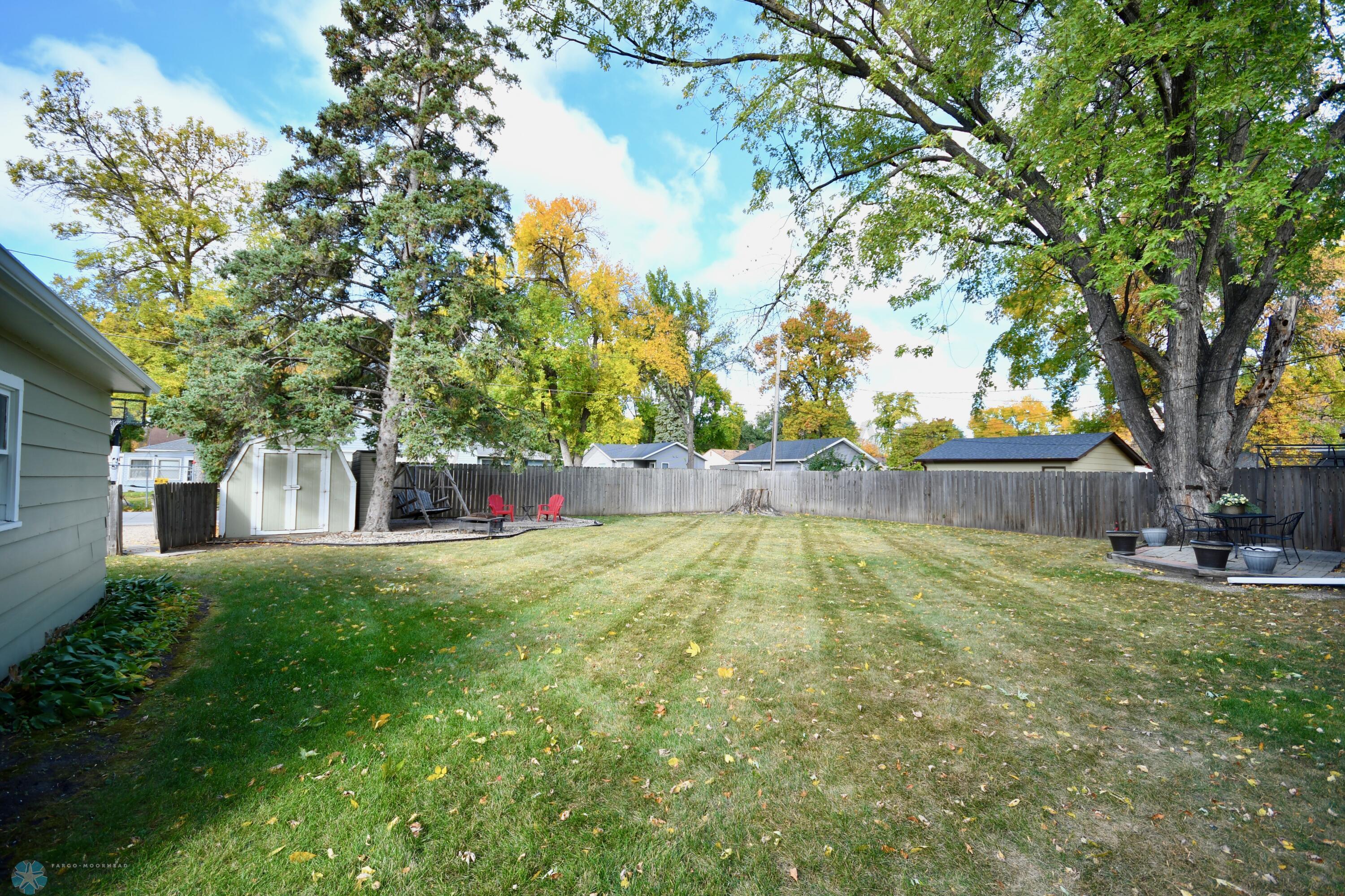 Back yard