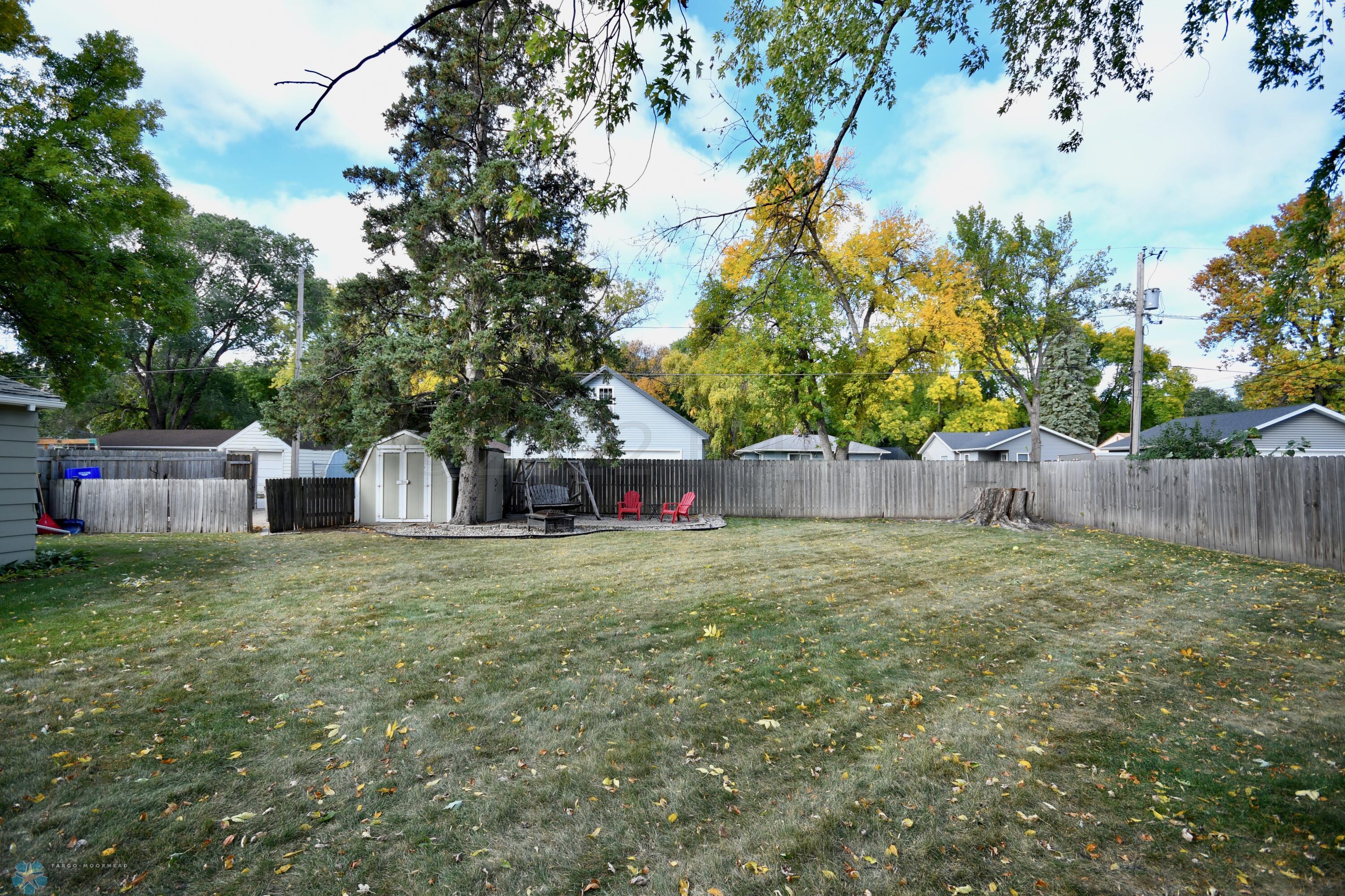 Back yard