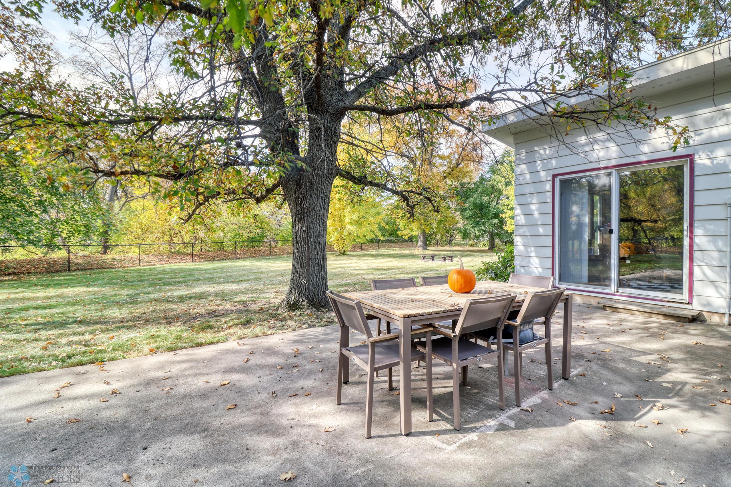 Backyard1_2