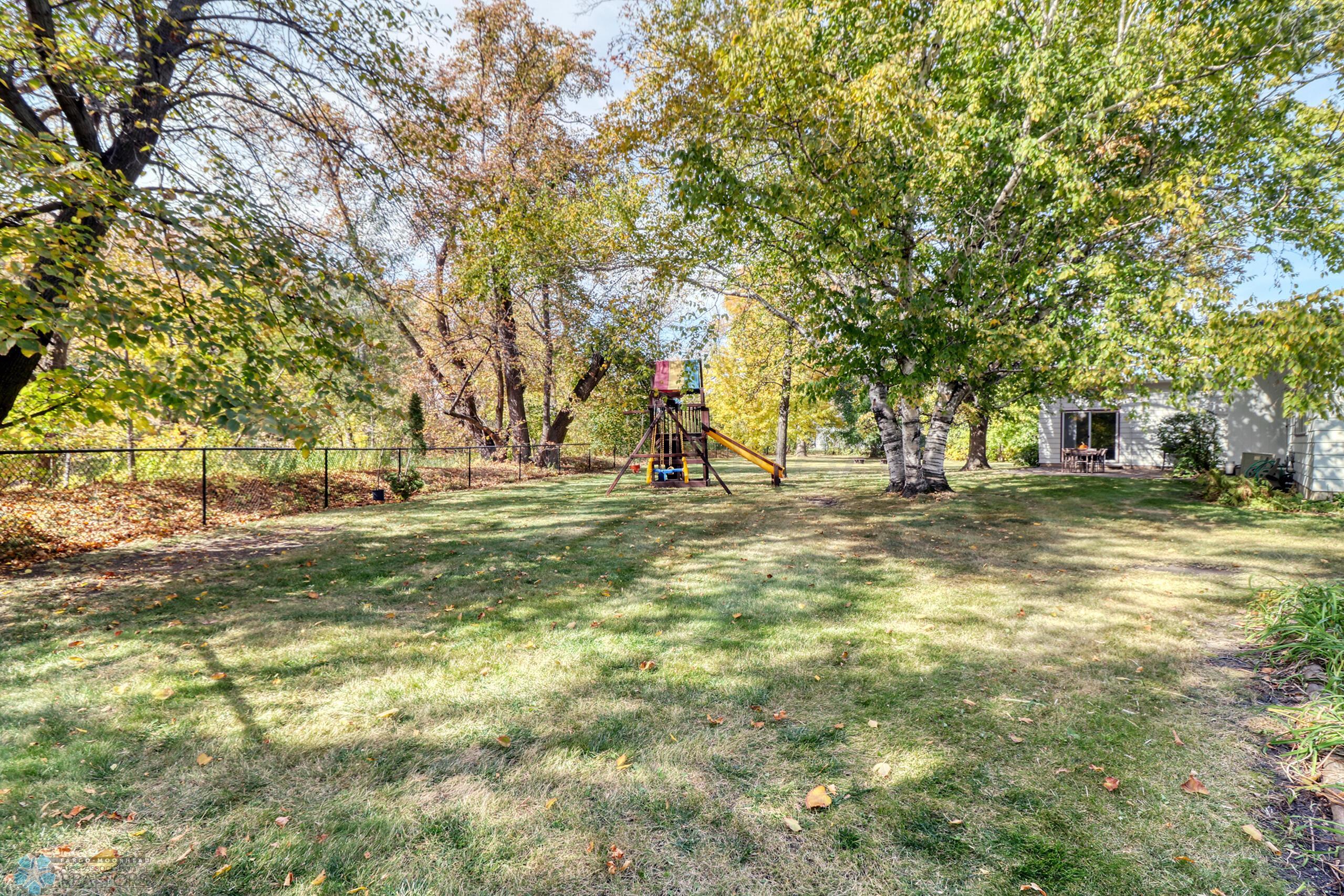 Backyard1_6