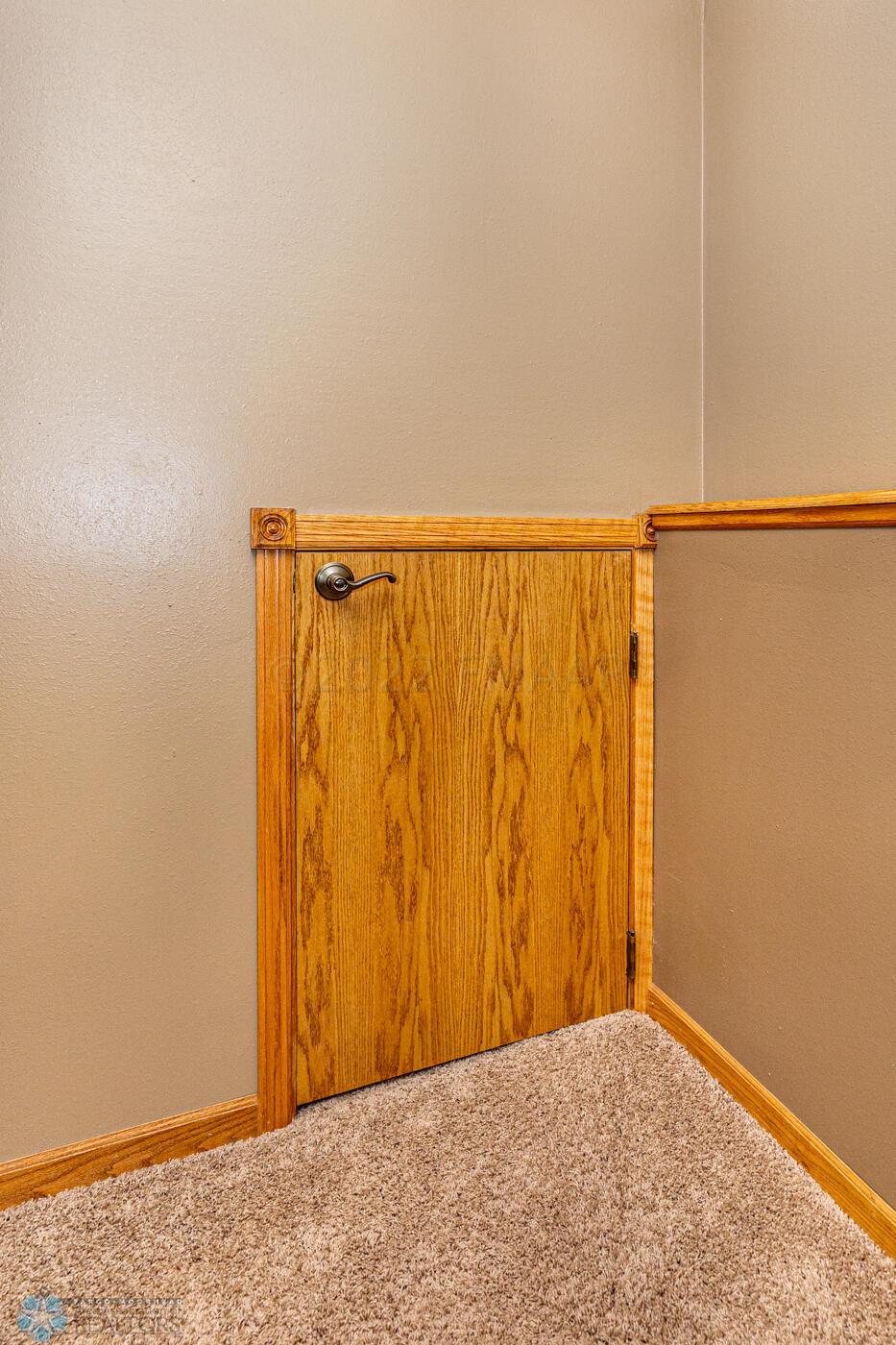 Storage Under Stairs