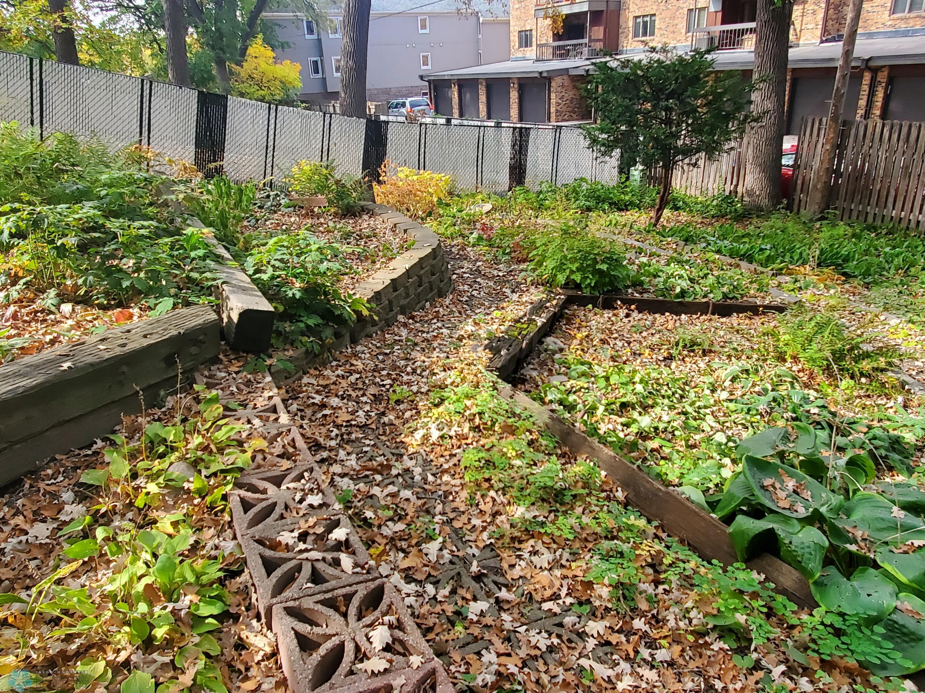 Landscaped Back Yard