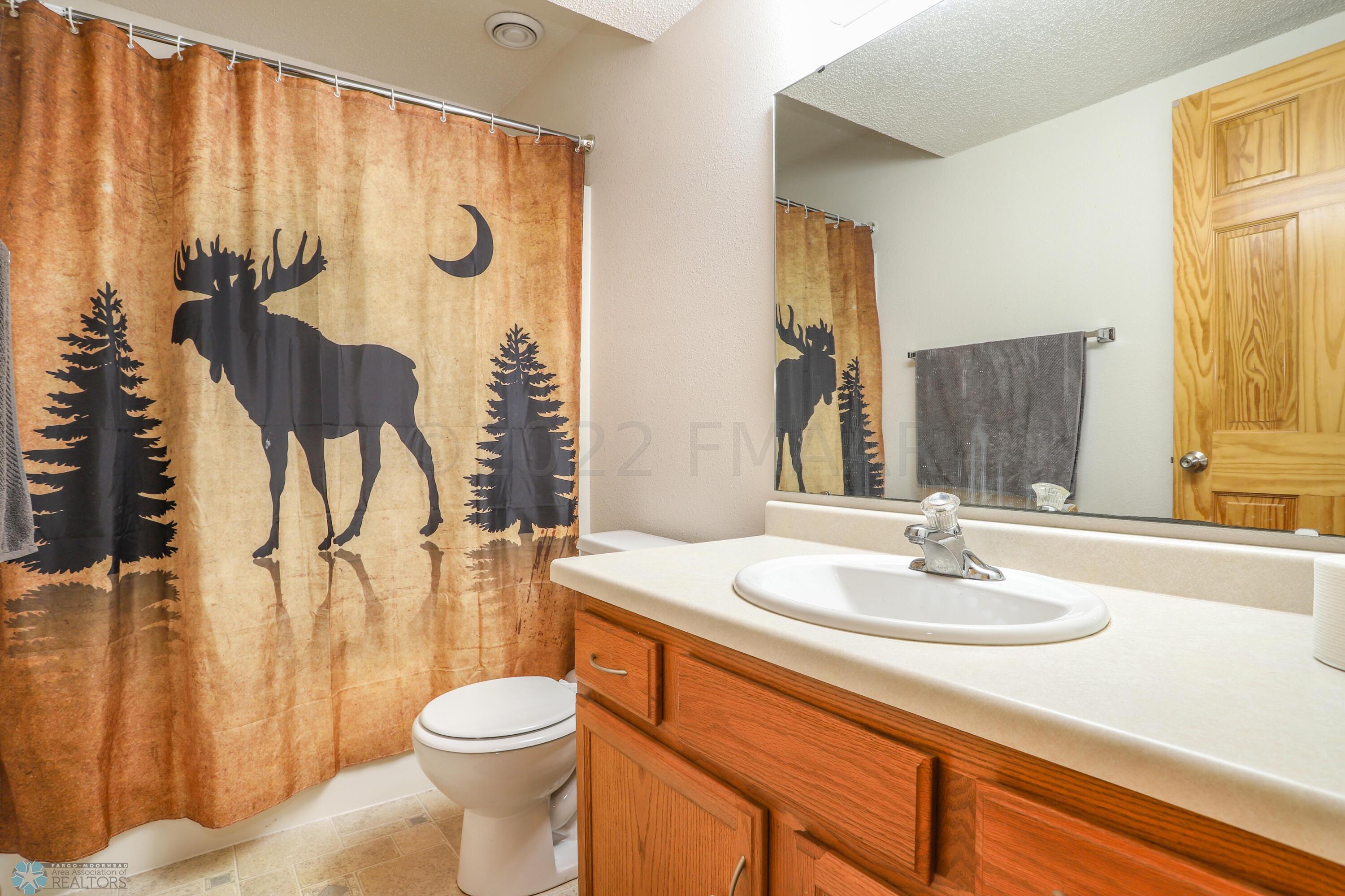 Lower Bathroom