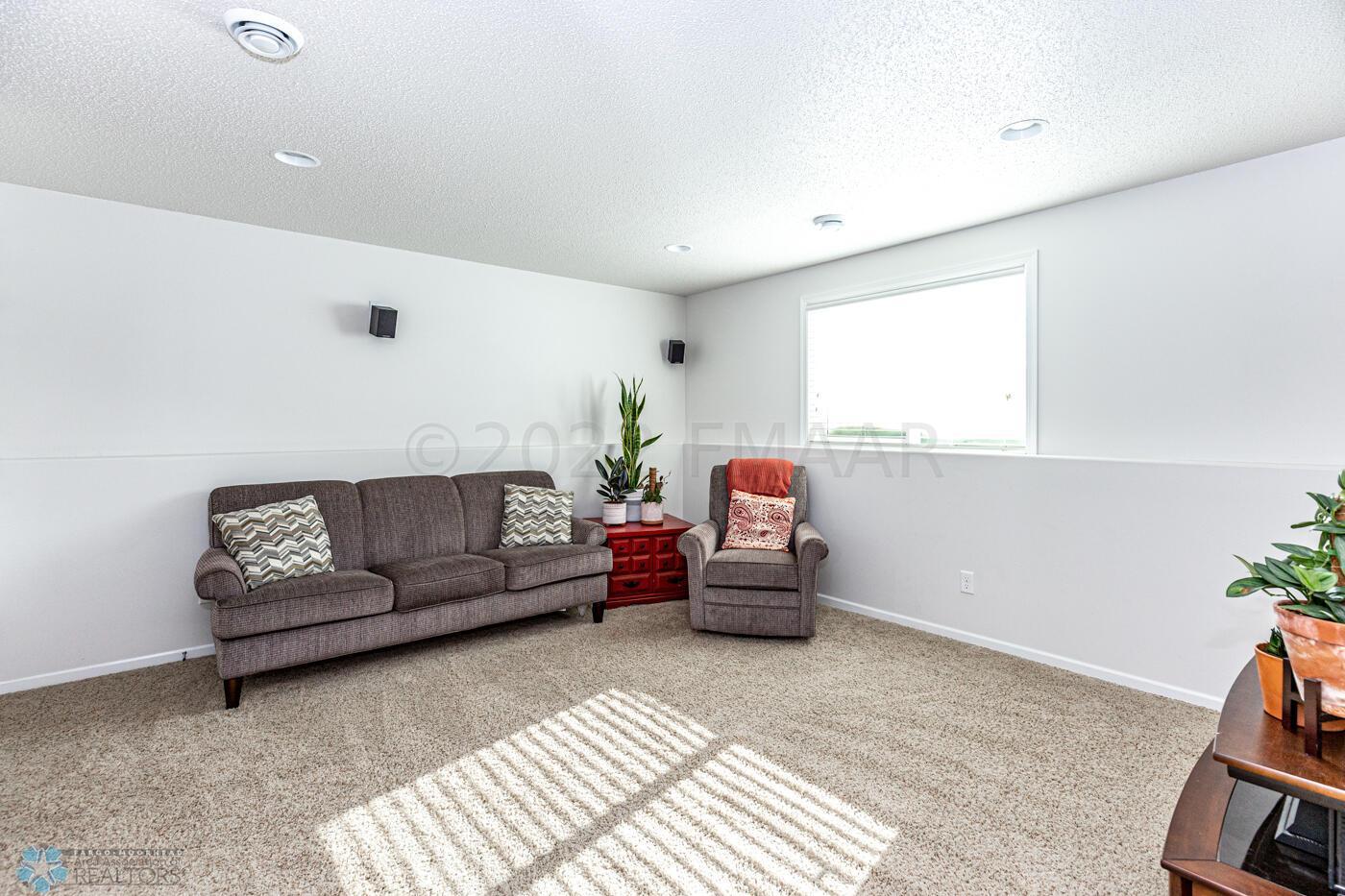 Lower Level Living Room