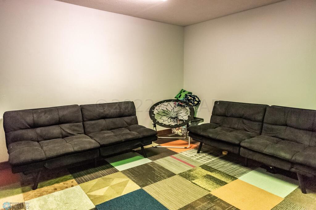 Basement Bonus Room