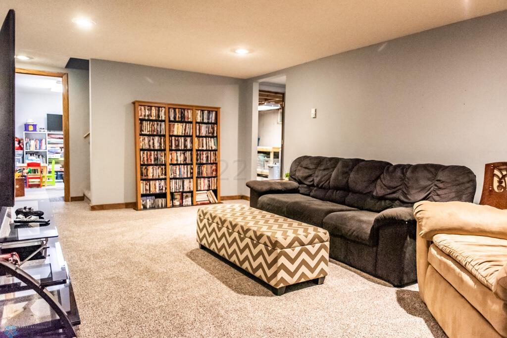 Basement Family Room