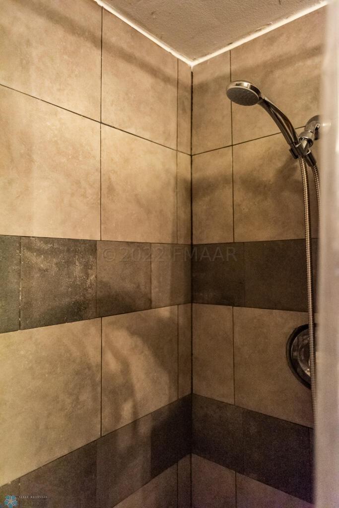 Basement 3/4 Bathroom