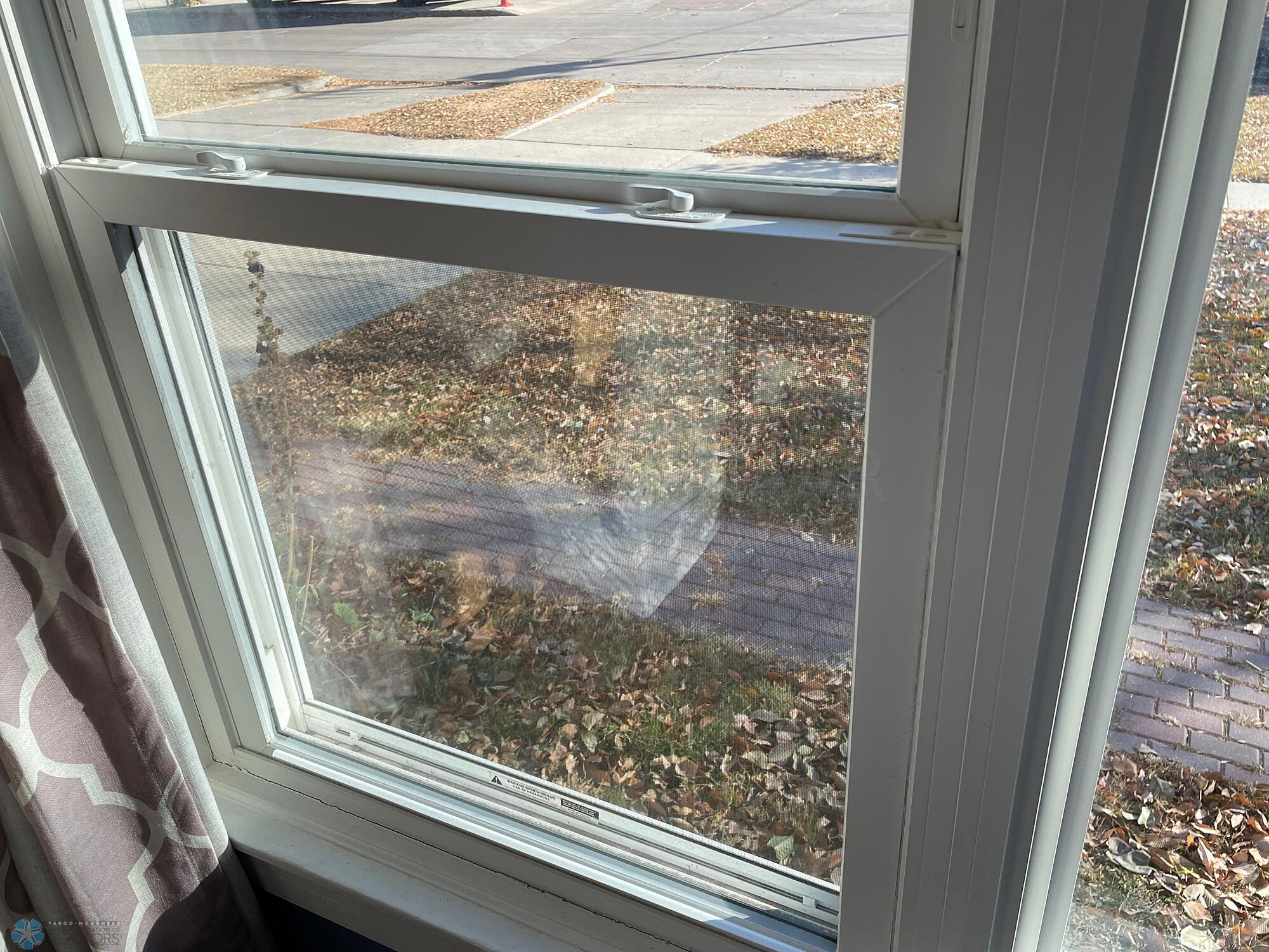 New vinyl double pane windows in 2020 on