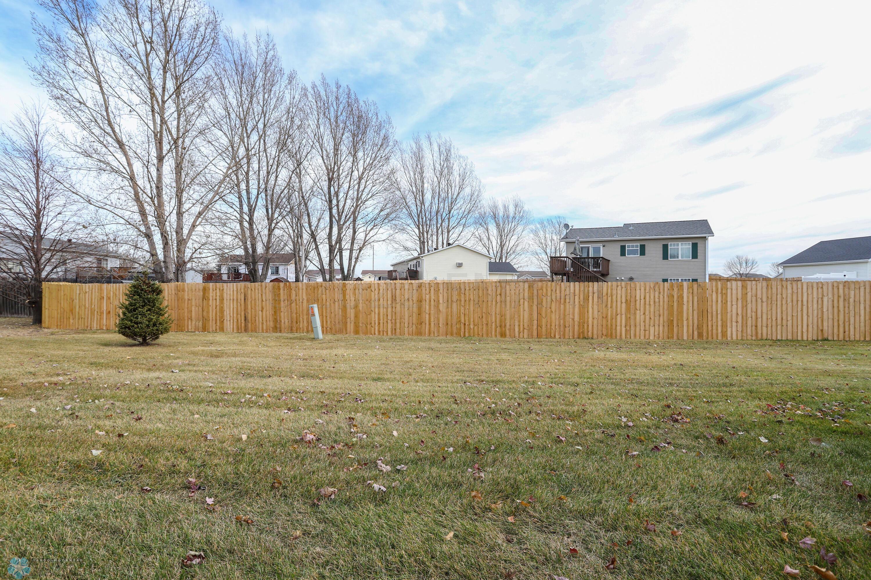 Back yard