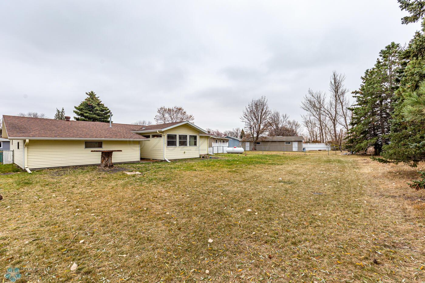 Back yard