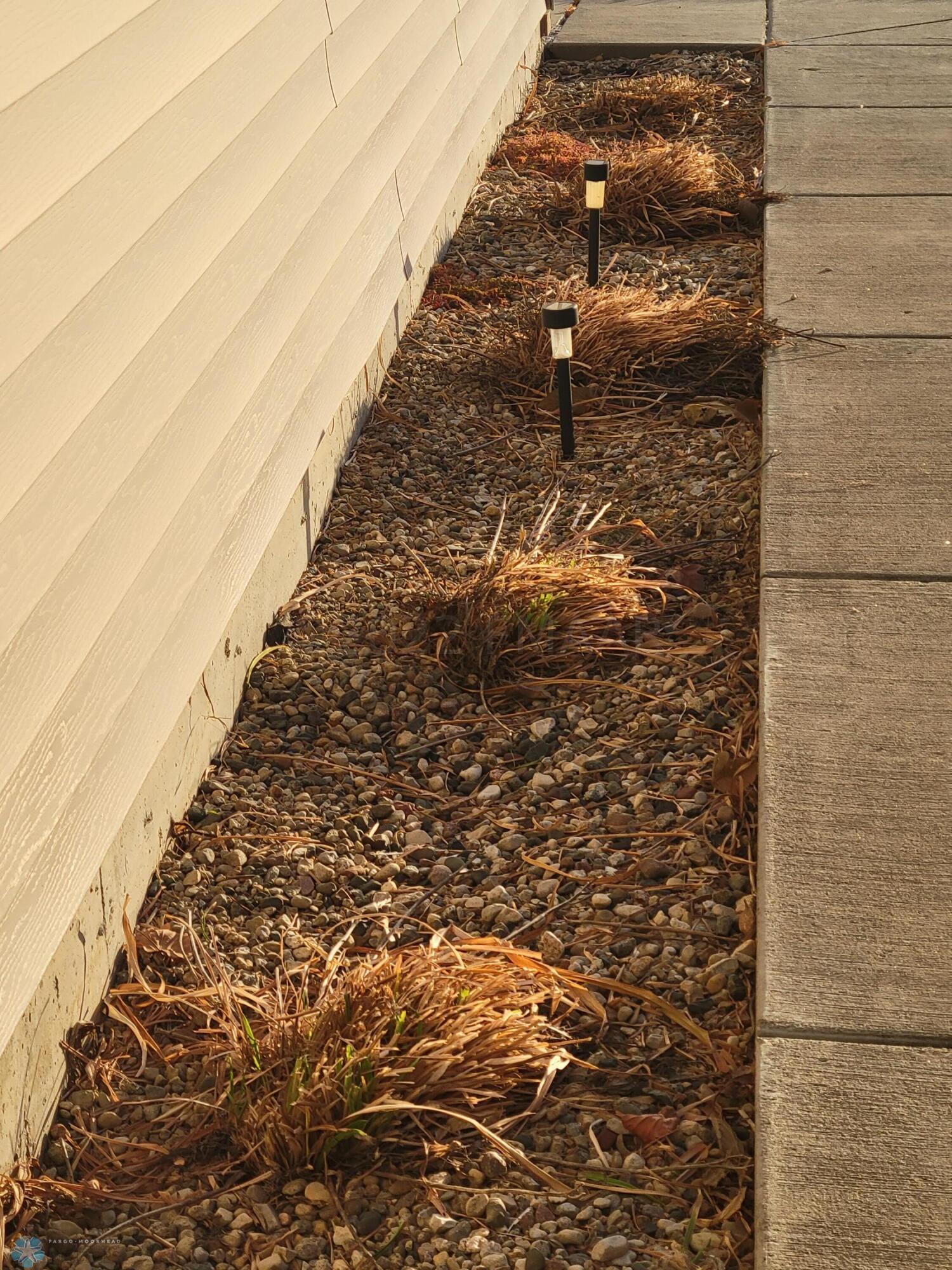 Perennials