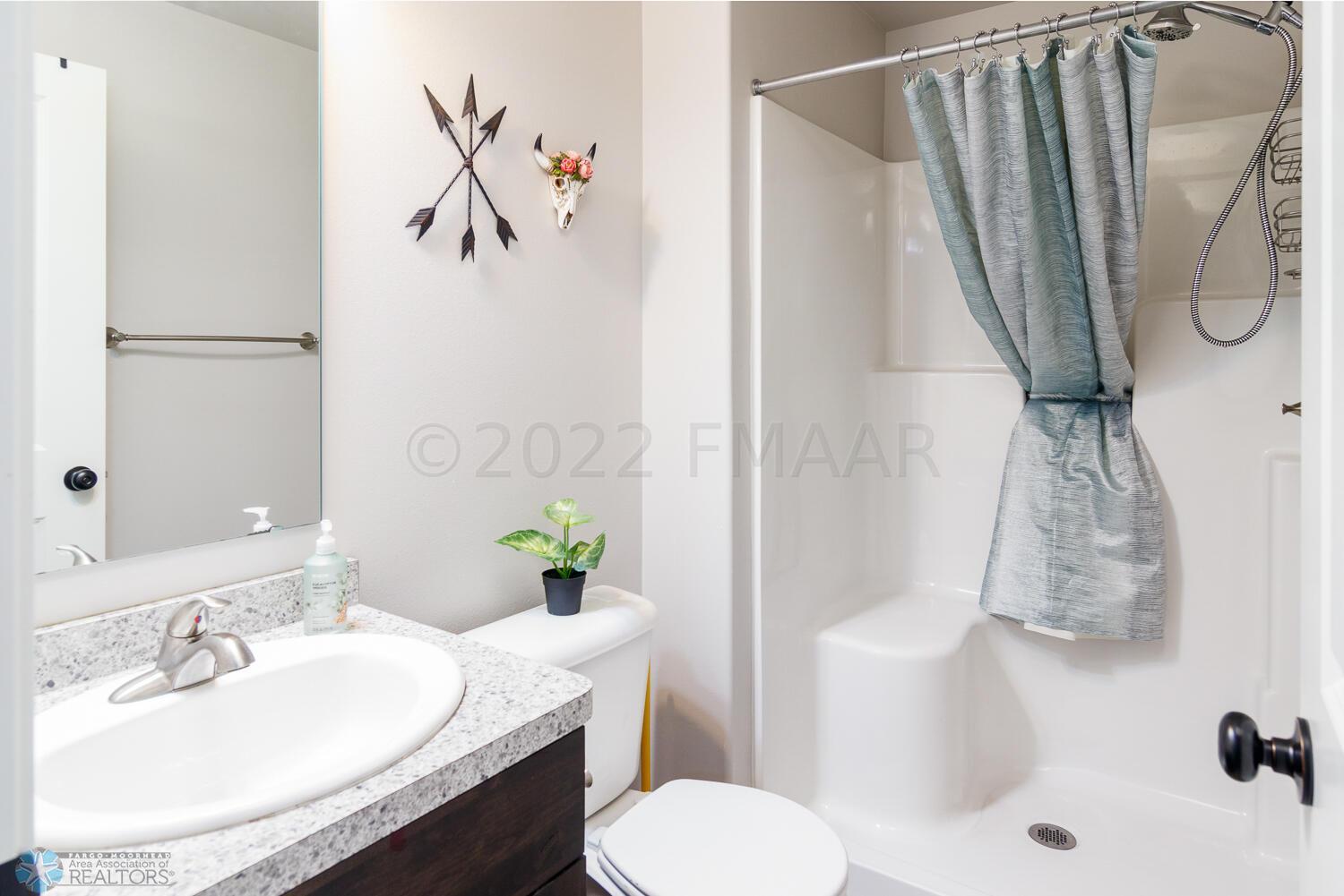 Lower Level Bathroom