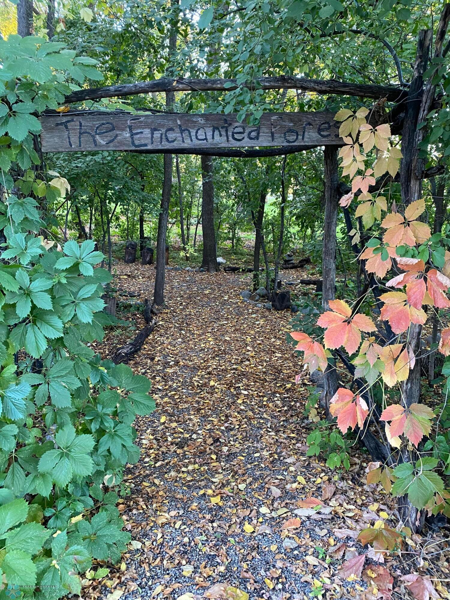 Enchanted Forest