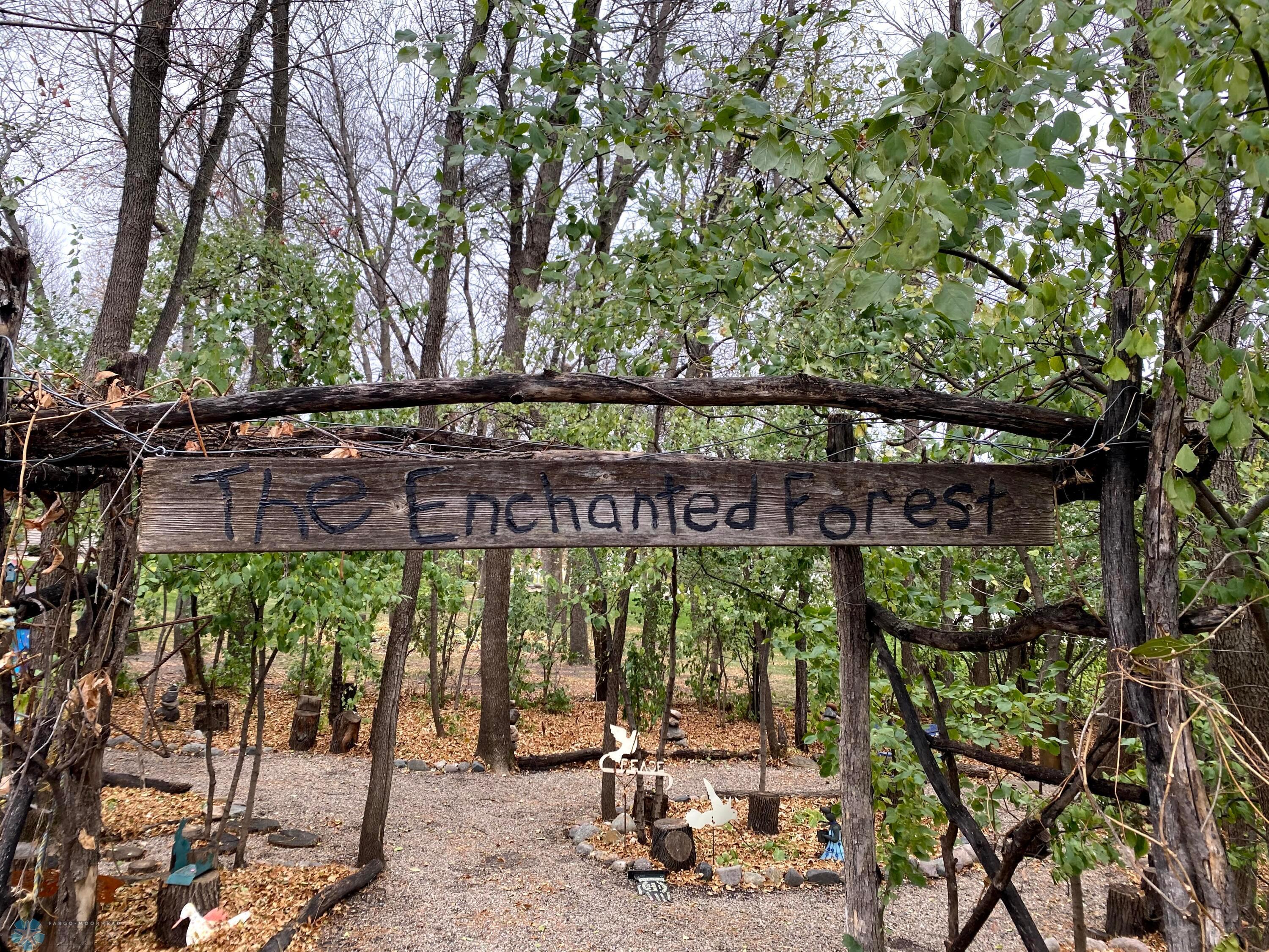 Enchanted Forest
