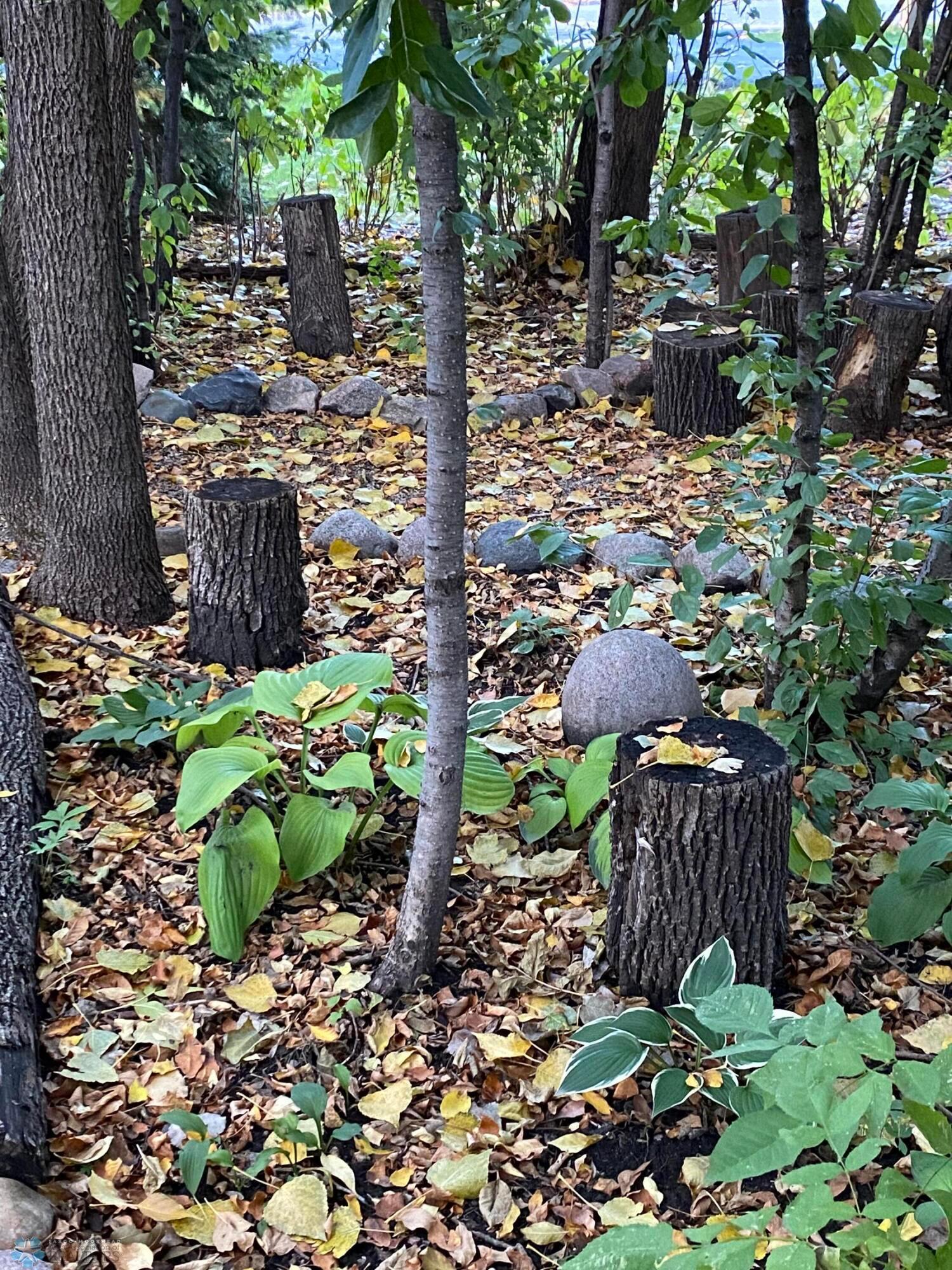 Enchanted Forest