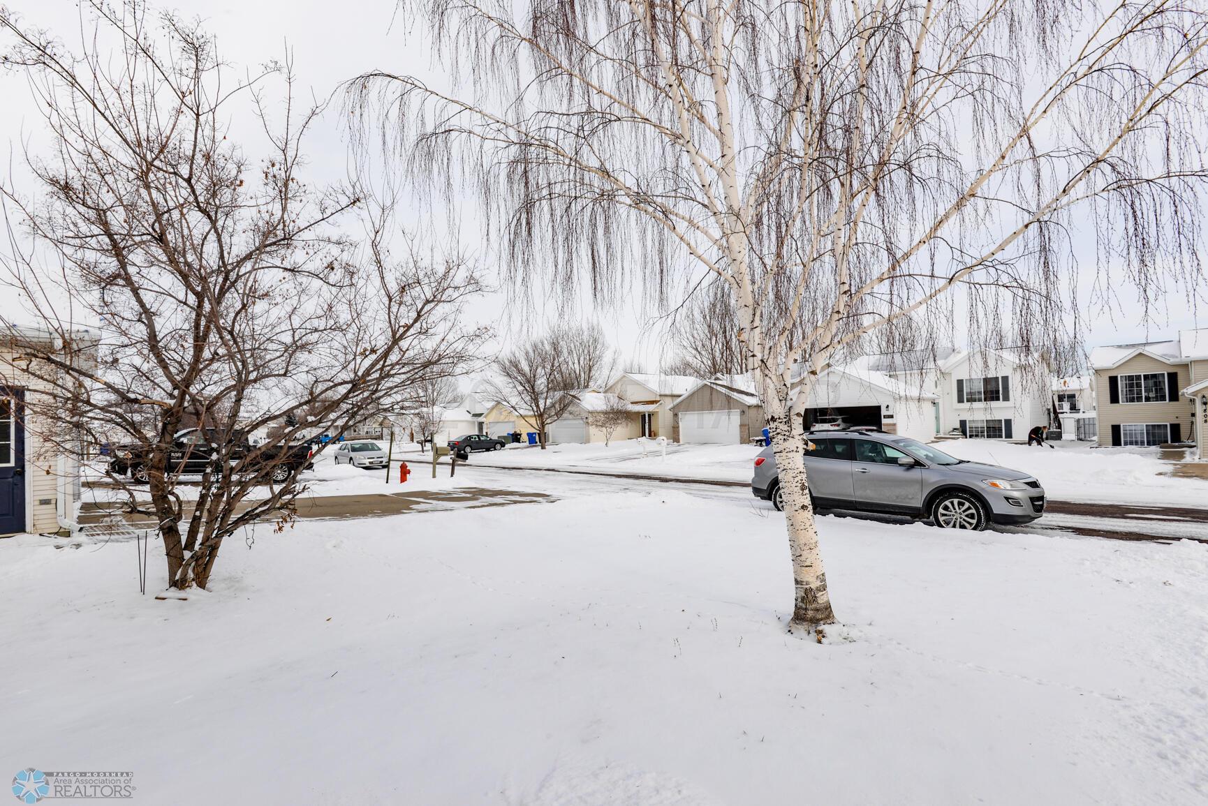 Front Yard View