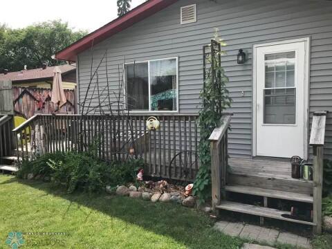 Yard in summer