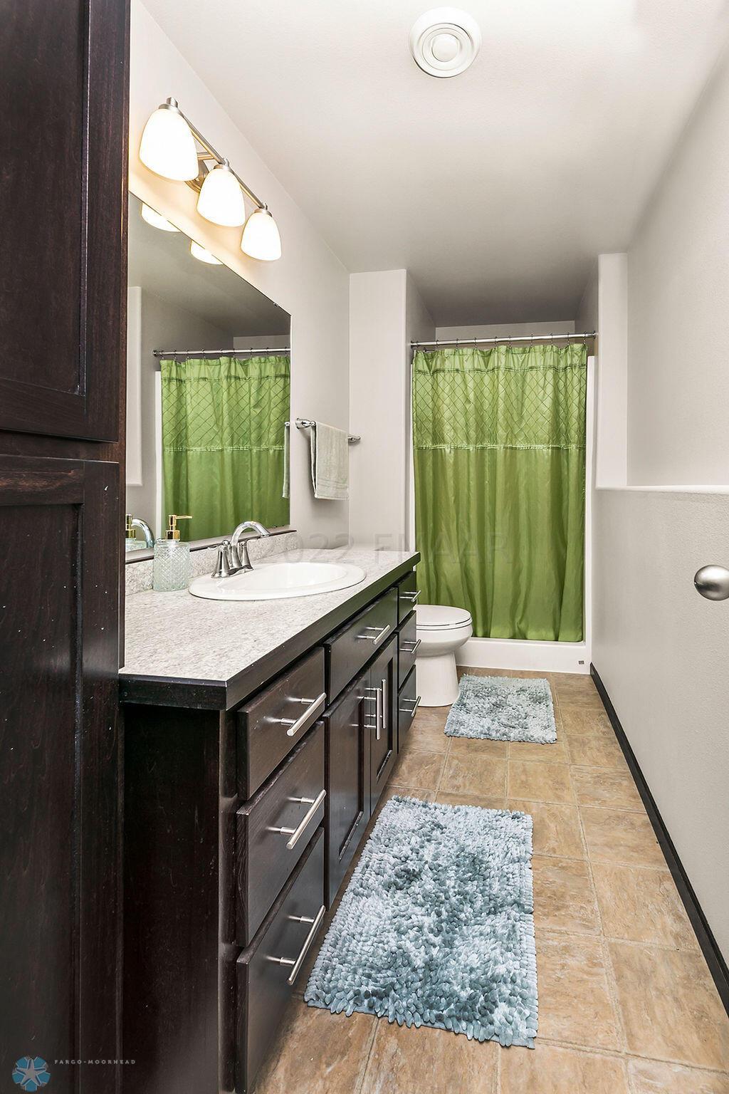 Lower level bathroom