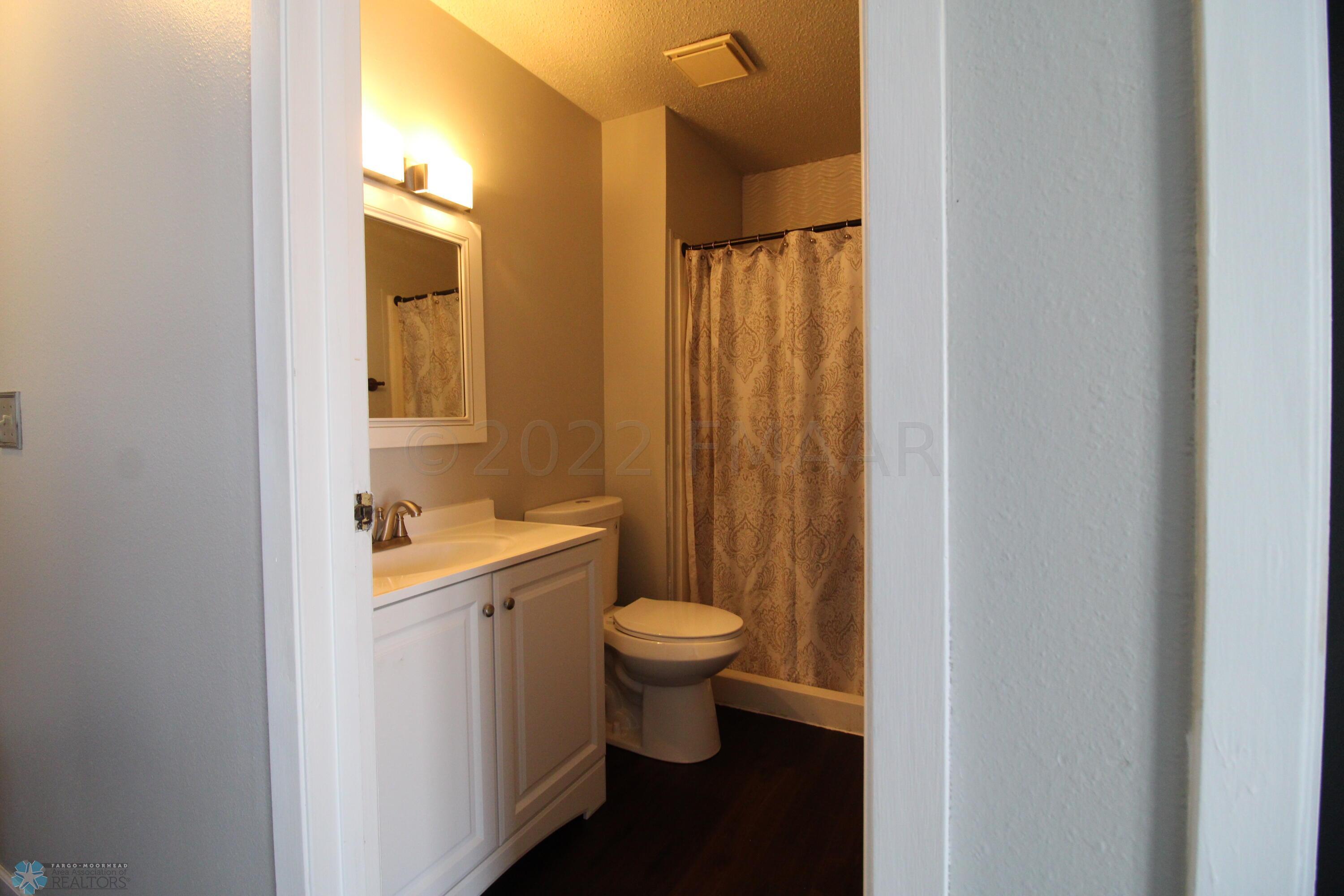 Lower Level Bathroom
