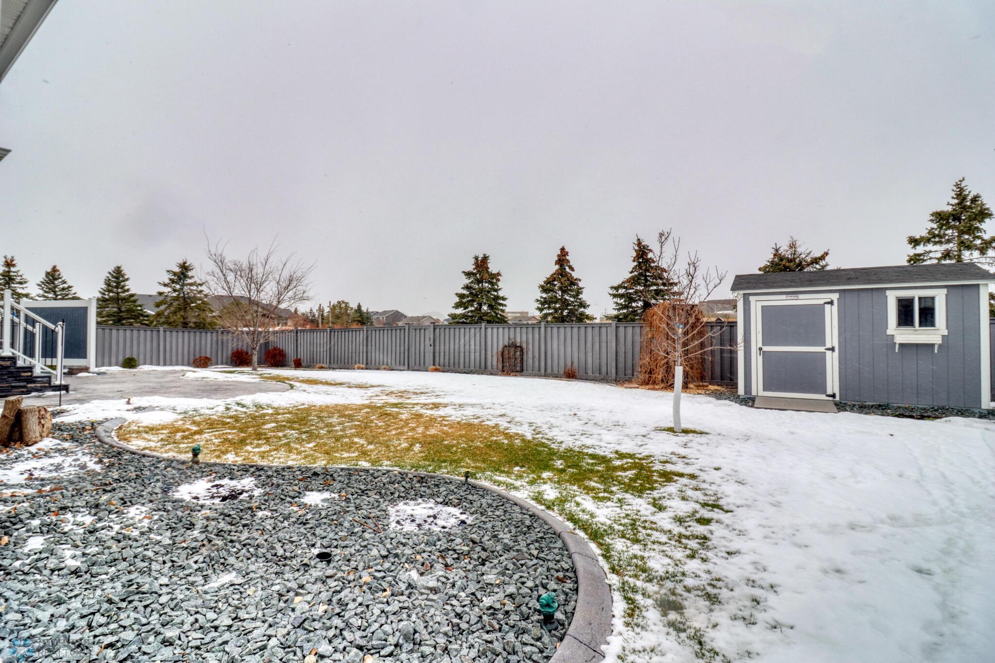 Backyard1_2