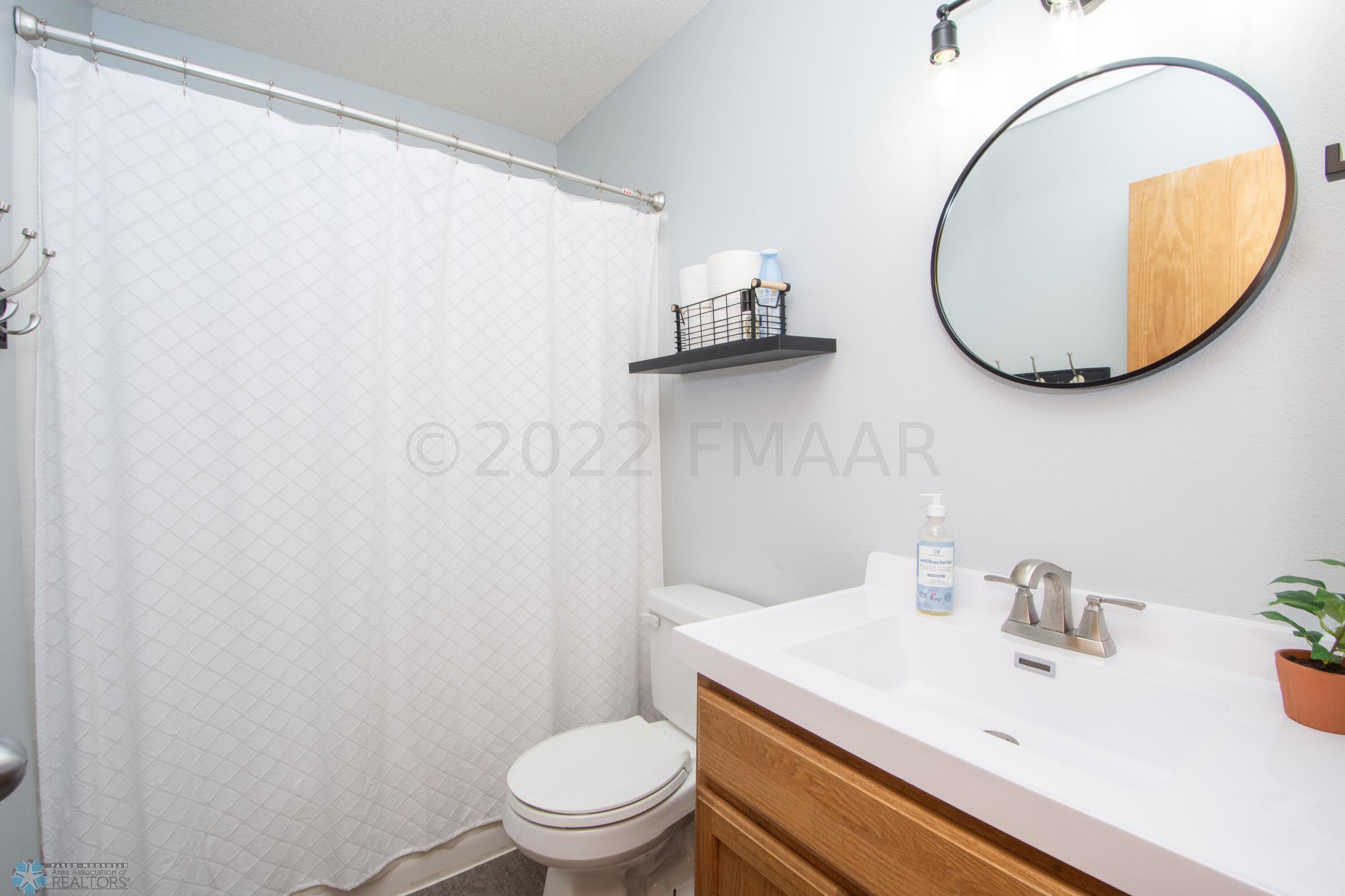 Lower Level Bathroom