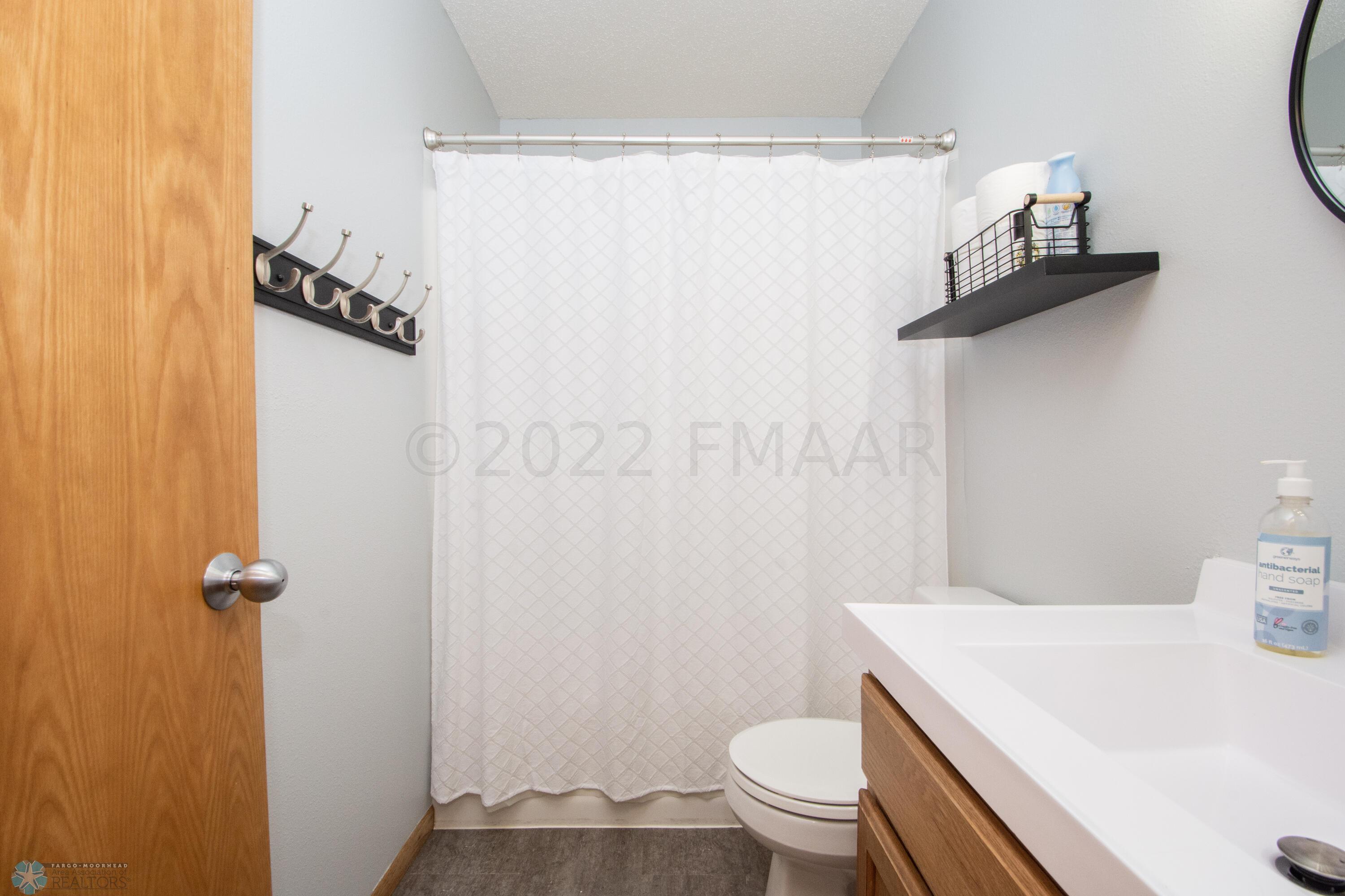 Lower Level Bathroom