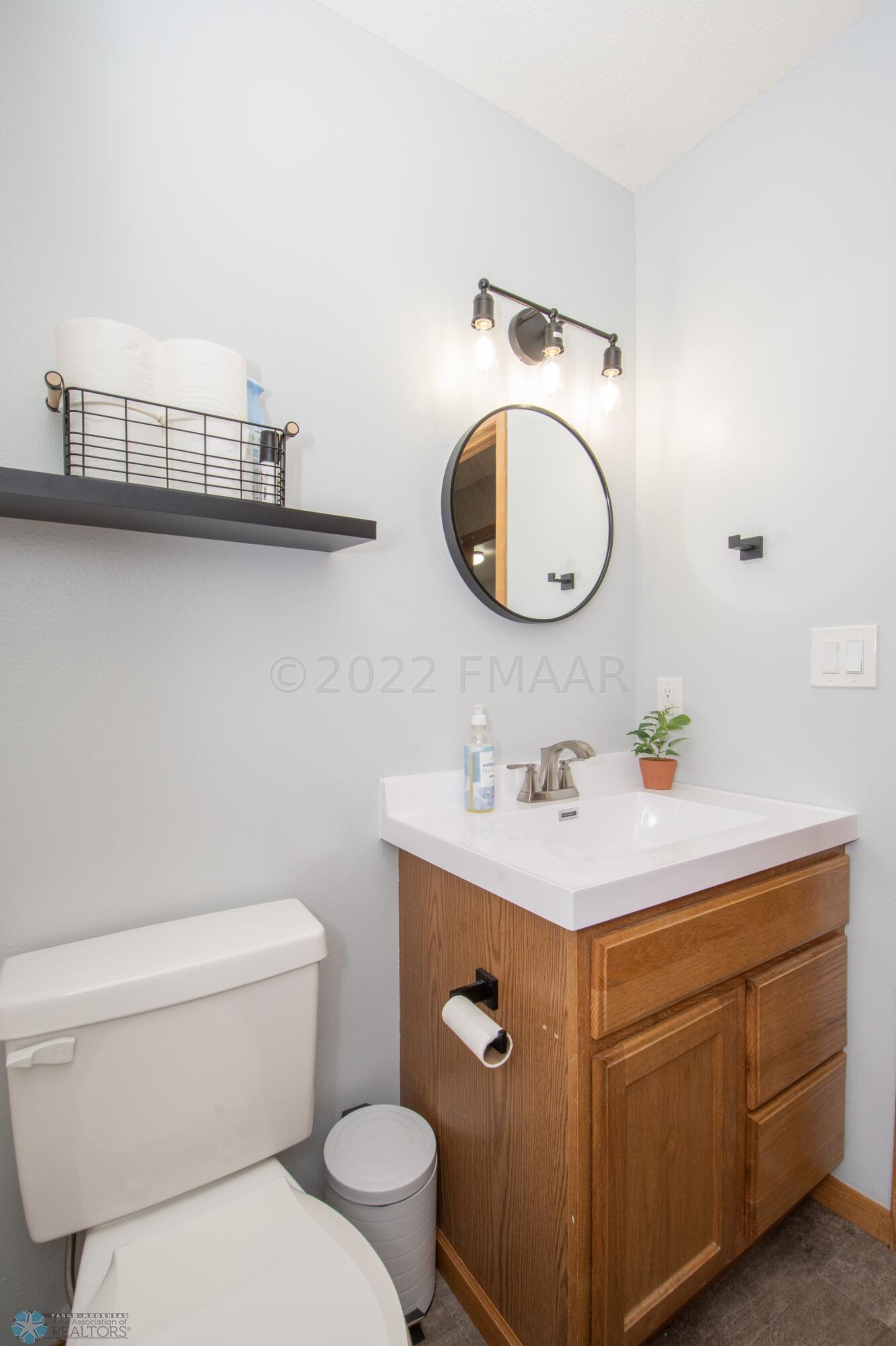 Lower Level Bathroom