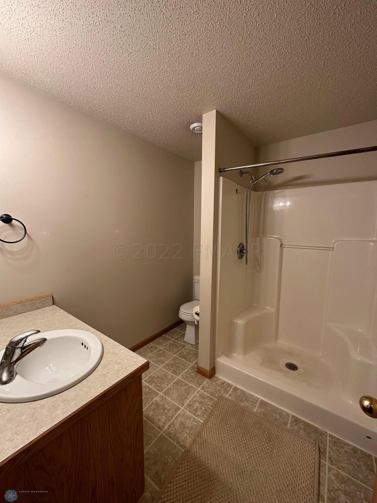 Lower level Bathroom