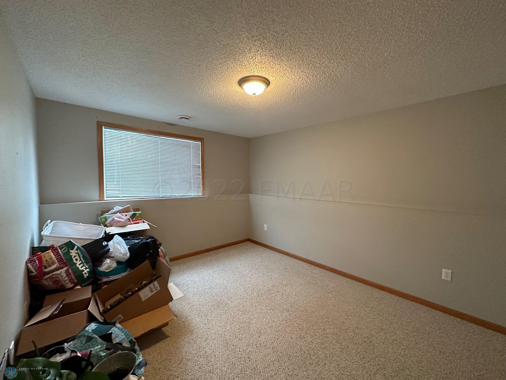 Lower level Bedroom