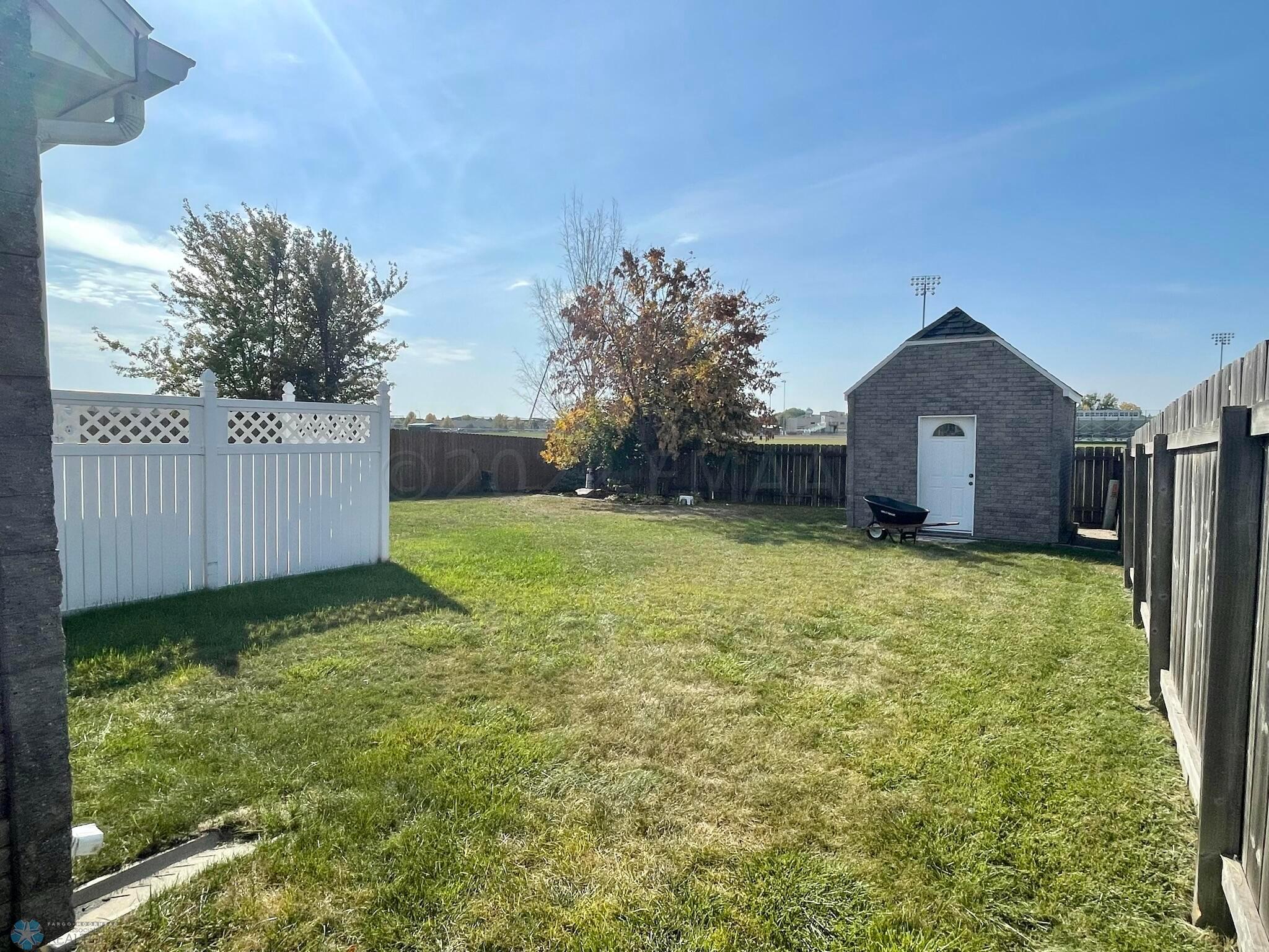 Backyard 1