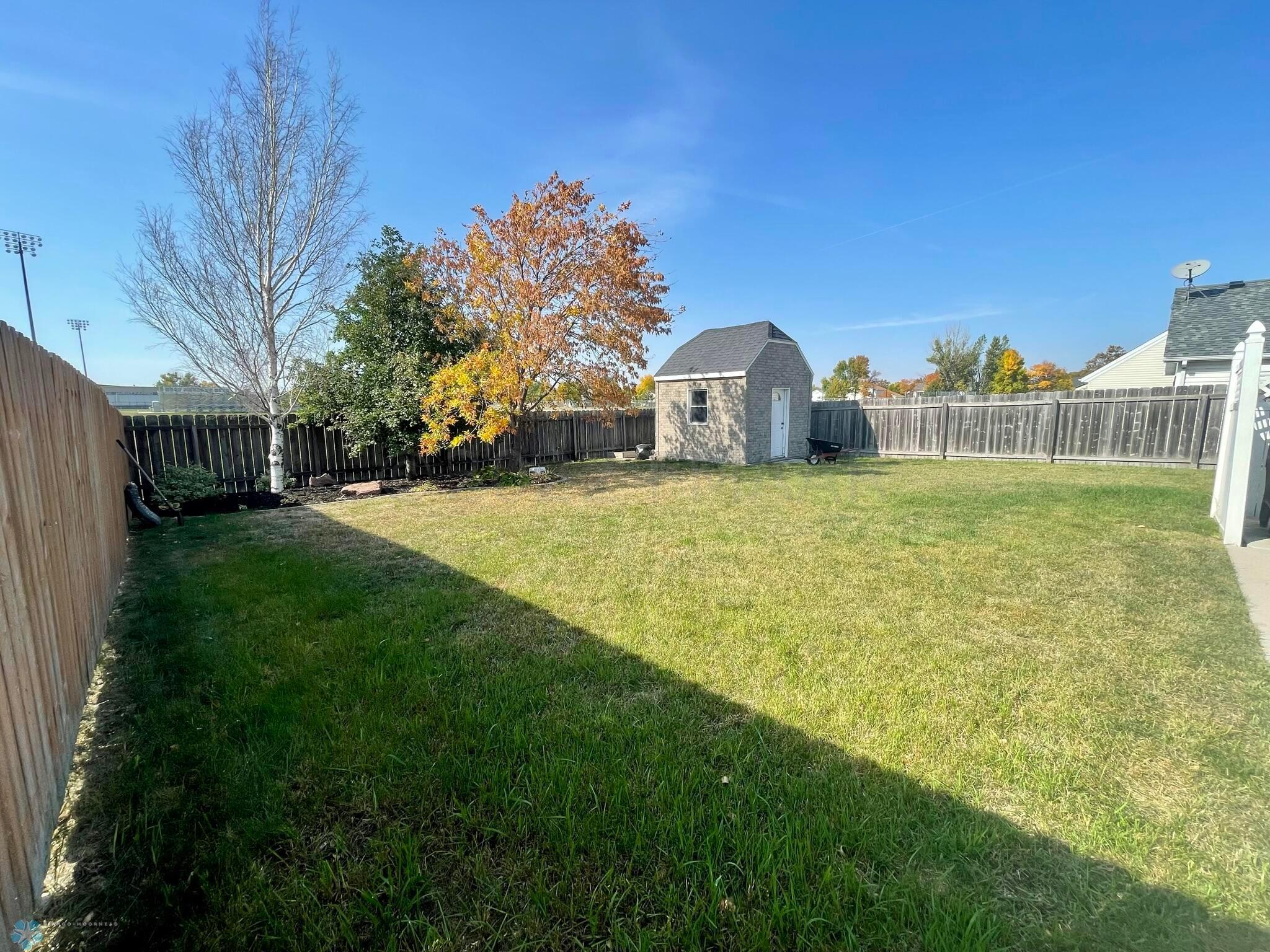 Backyard 2