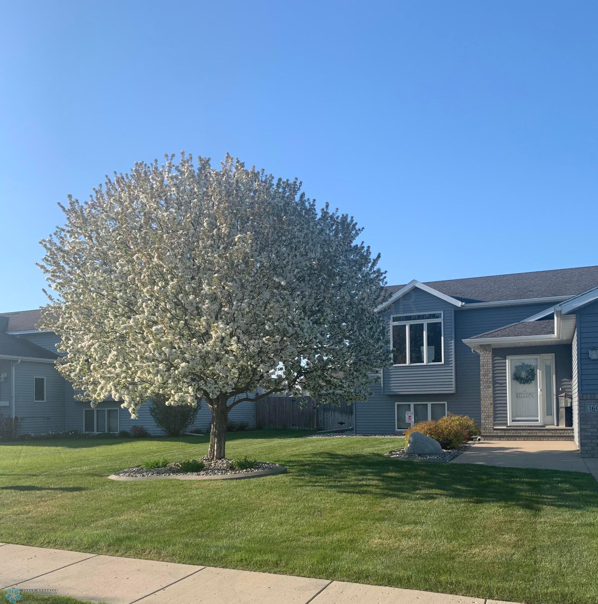 Front Yard