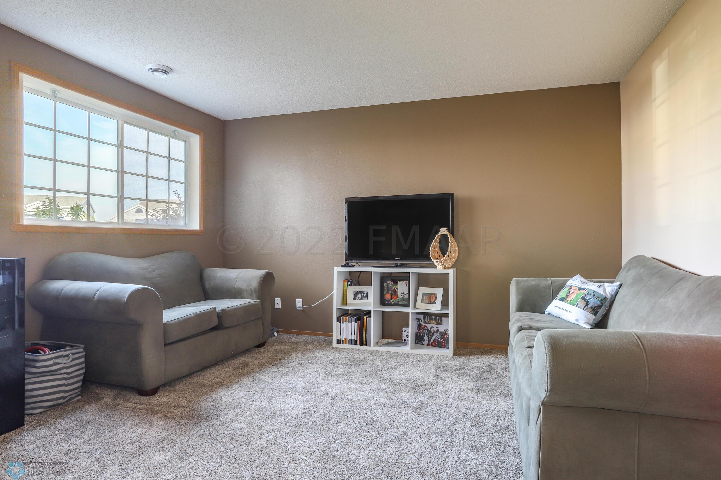 Lower Level Family Room