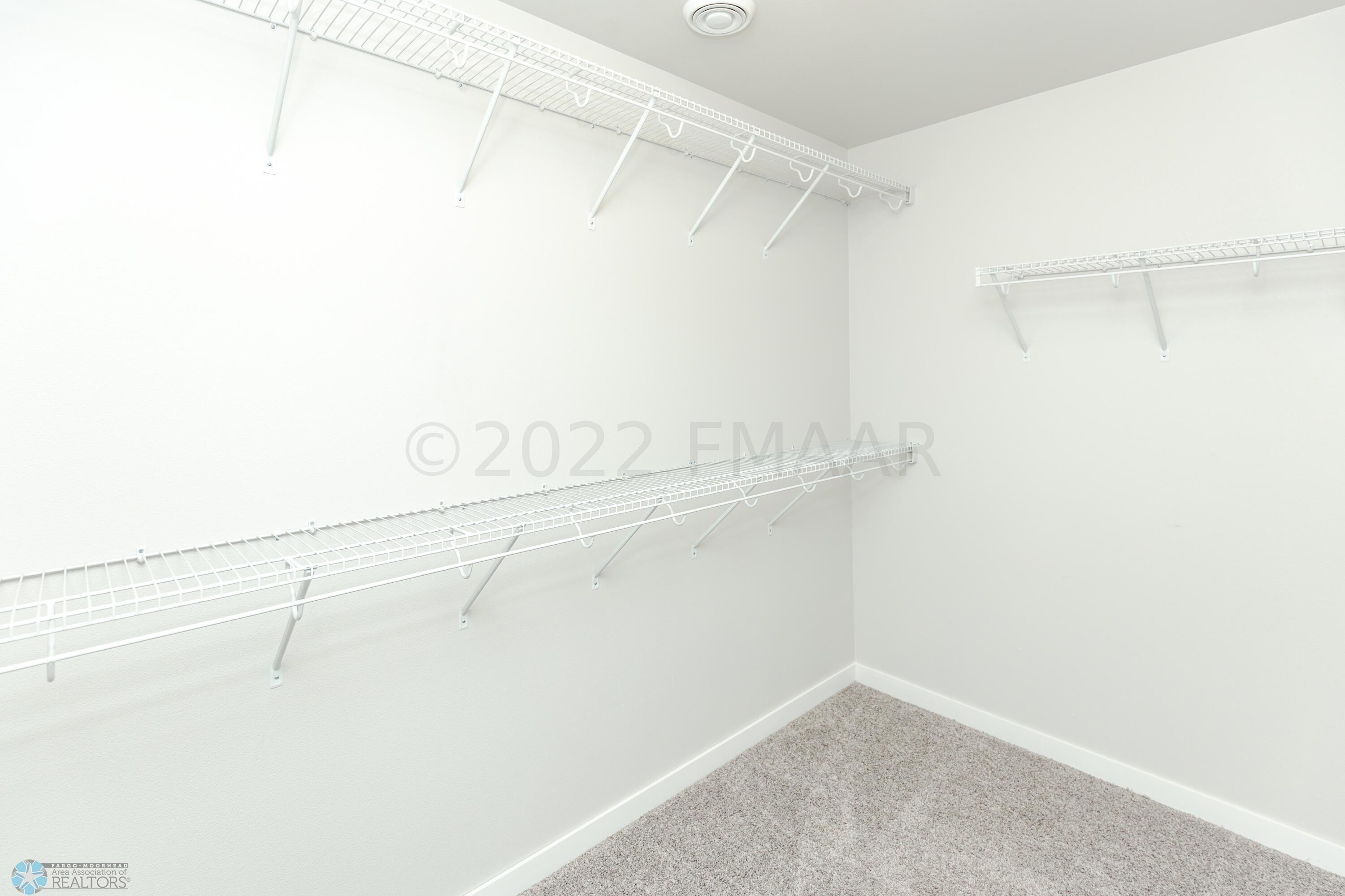 Bedroom #5 walk-in closet -basement