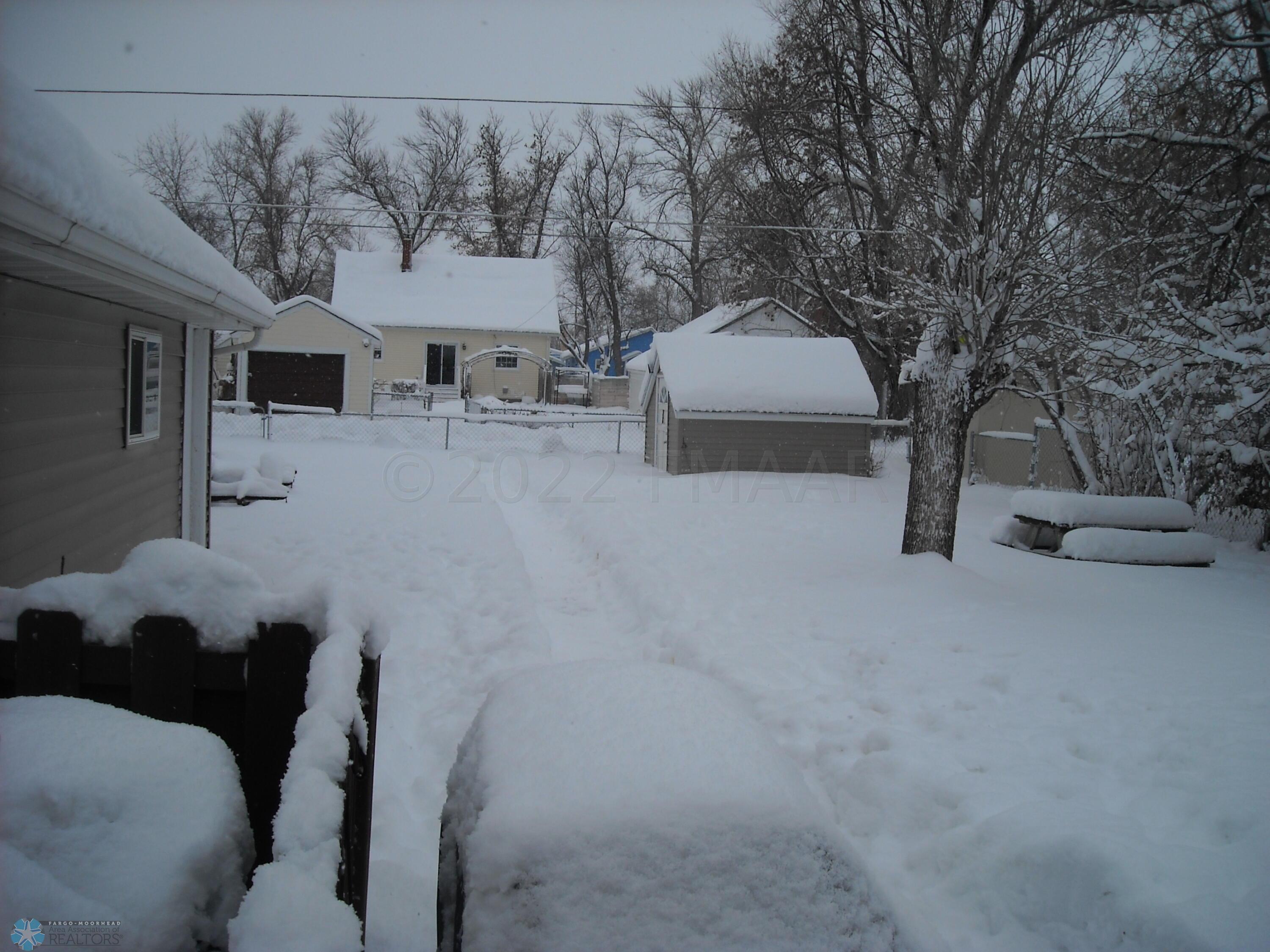 back yard