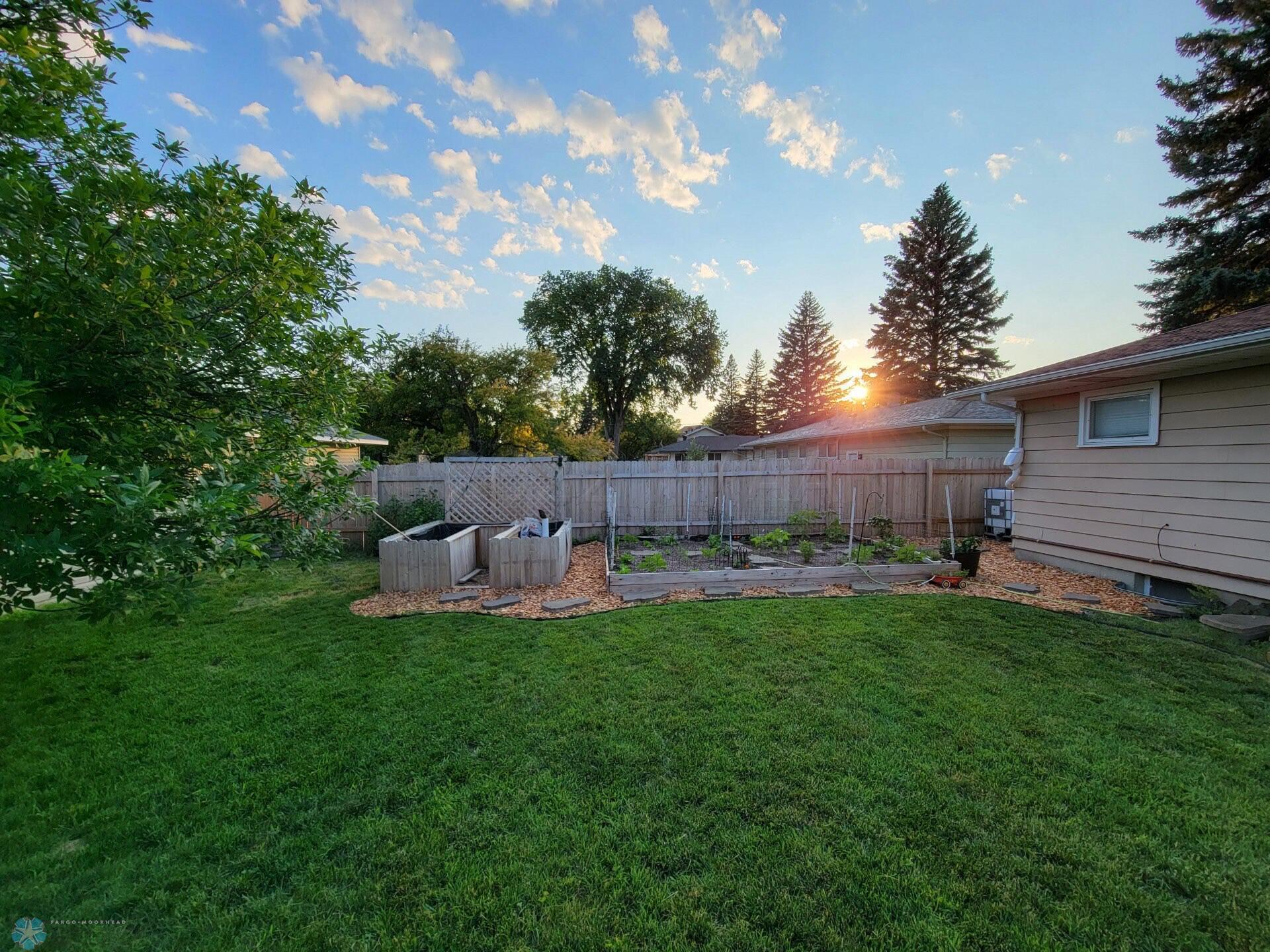 Backyard Summer