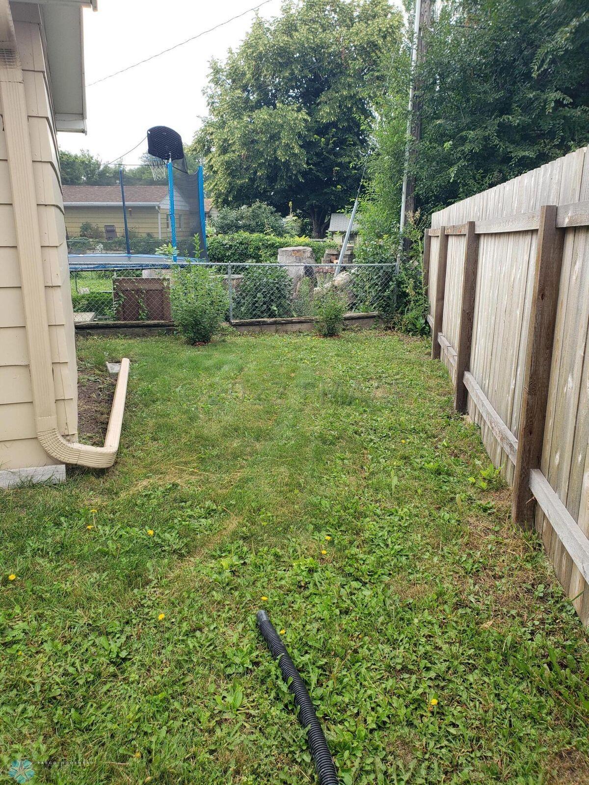 Backyard 2