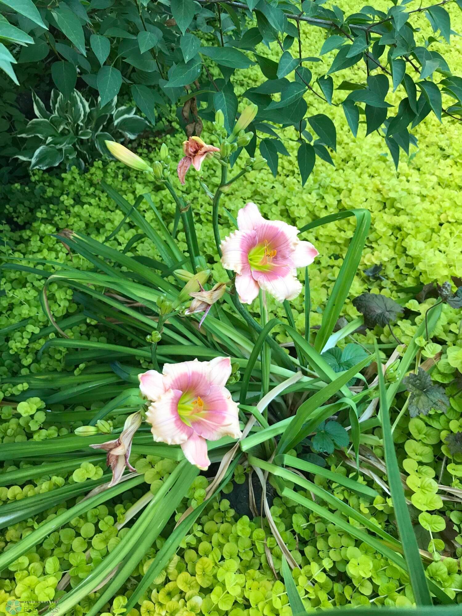XFVB9658
