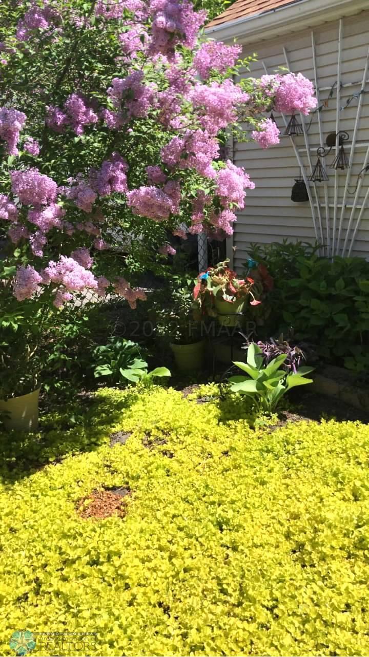 garden4